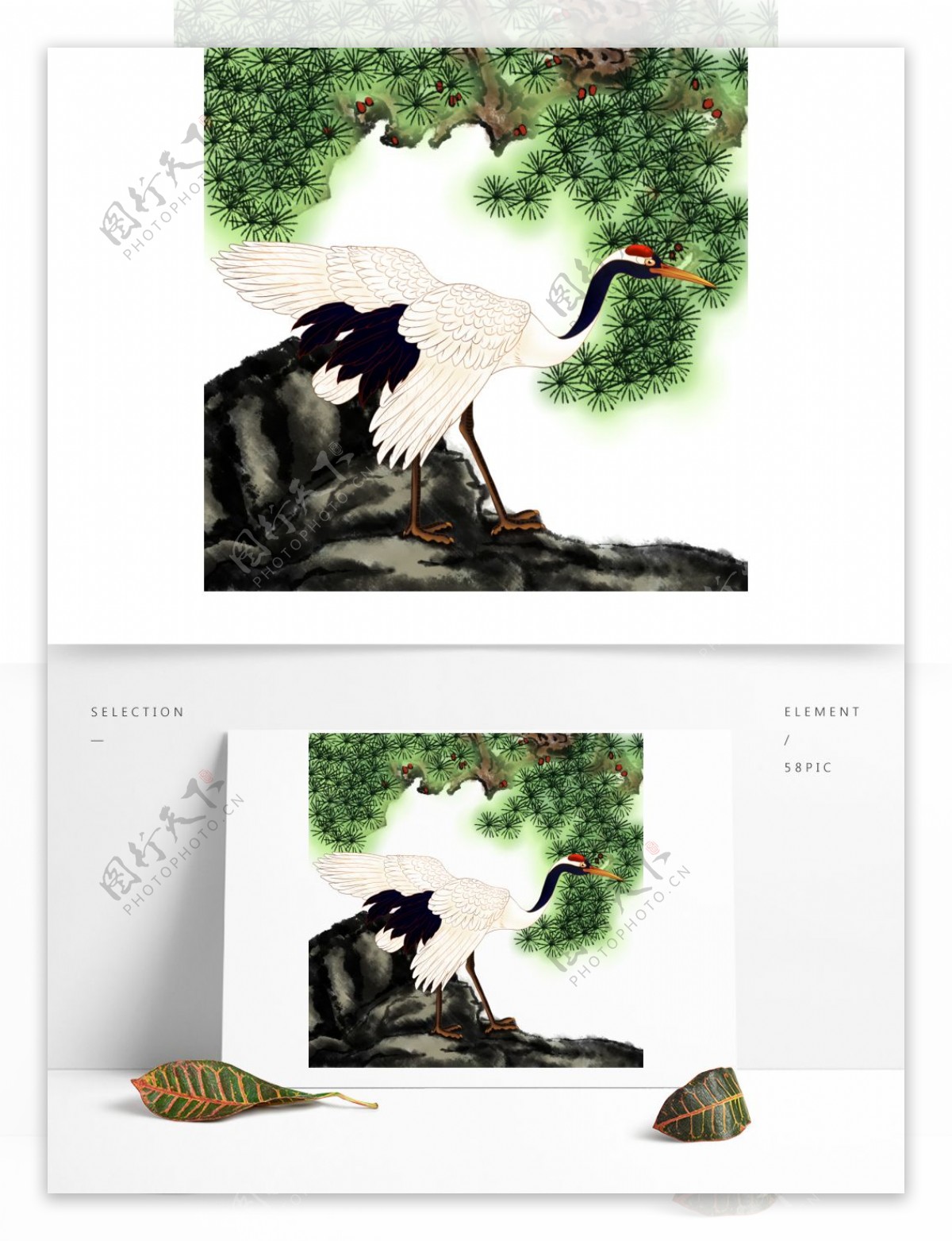 中国风手绘仙鹤可商用插画素材