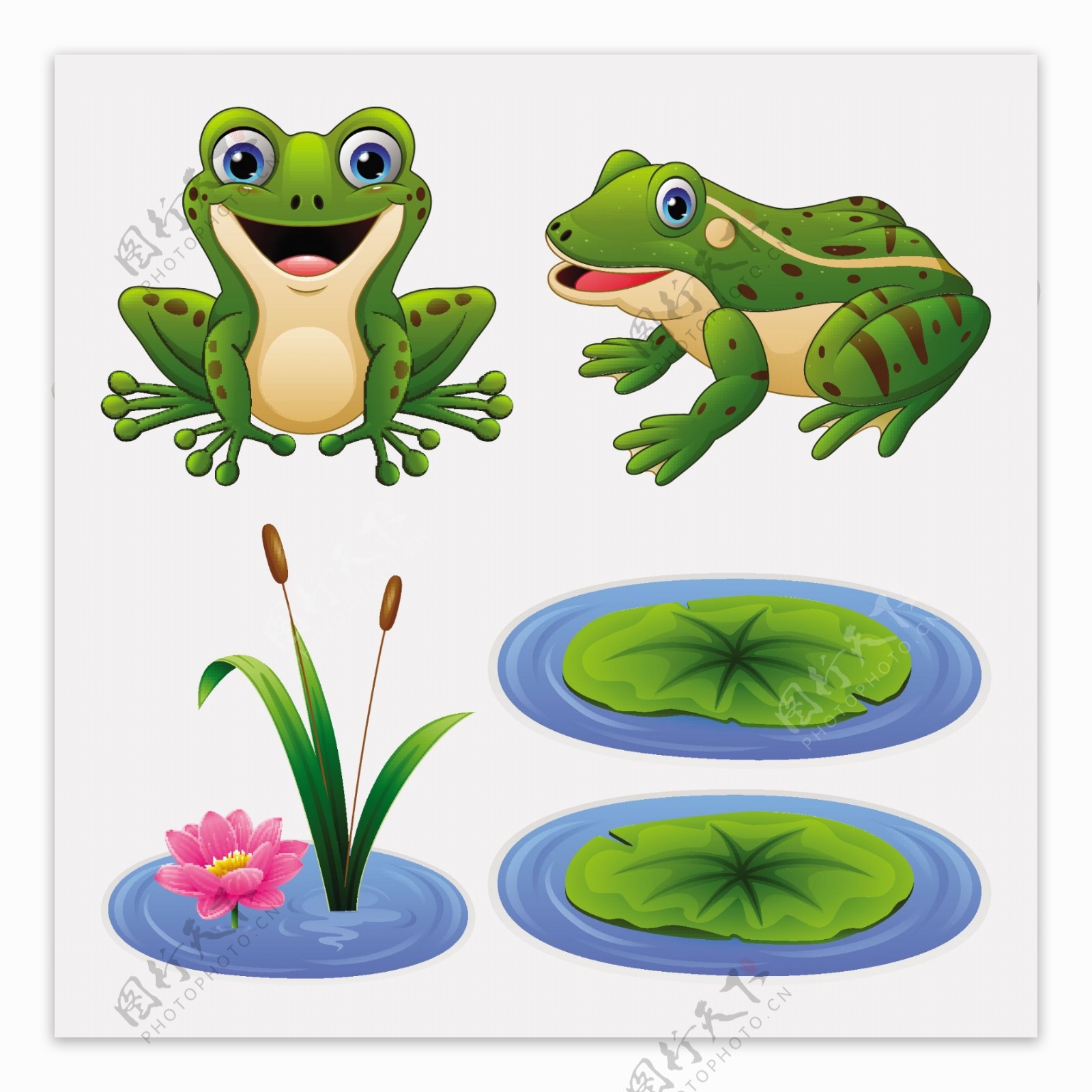 夏天池塘荷叶青蛙插画图片-千库网