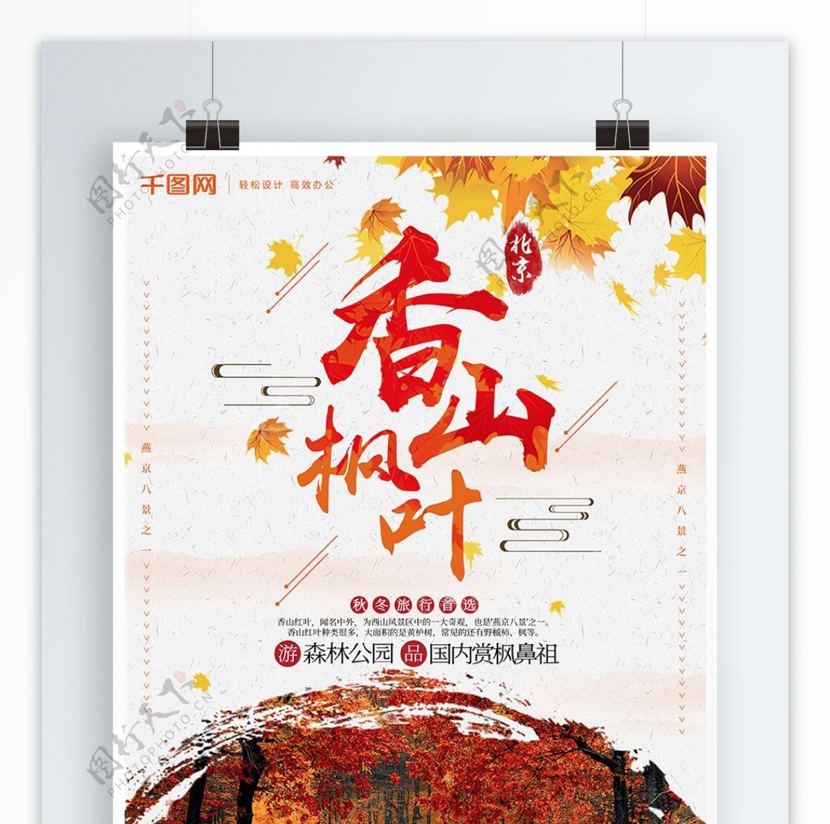 秋冬旅游香山枫叶宣传海报