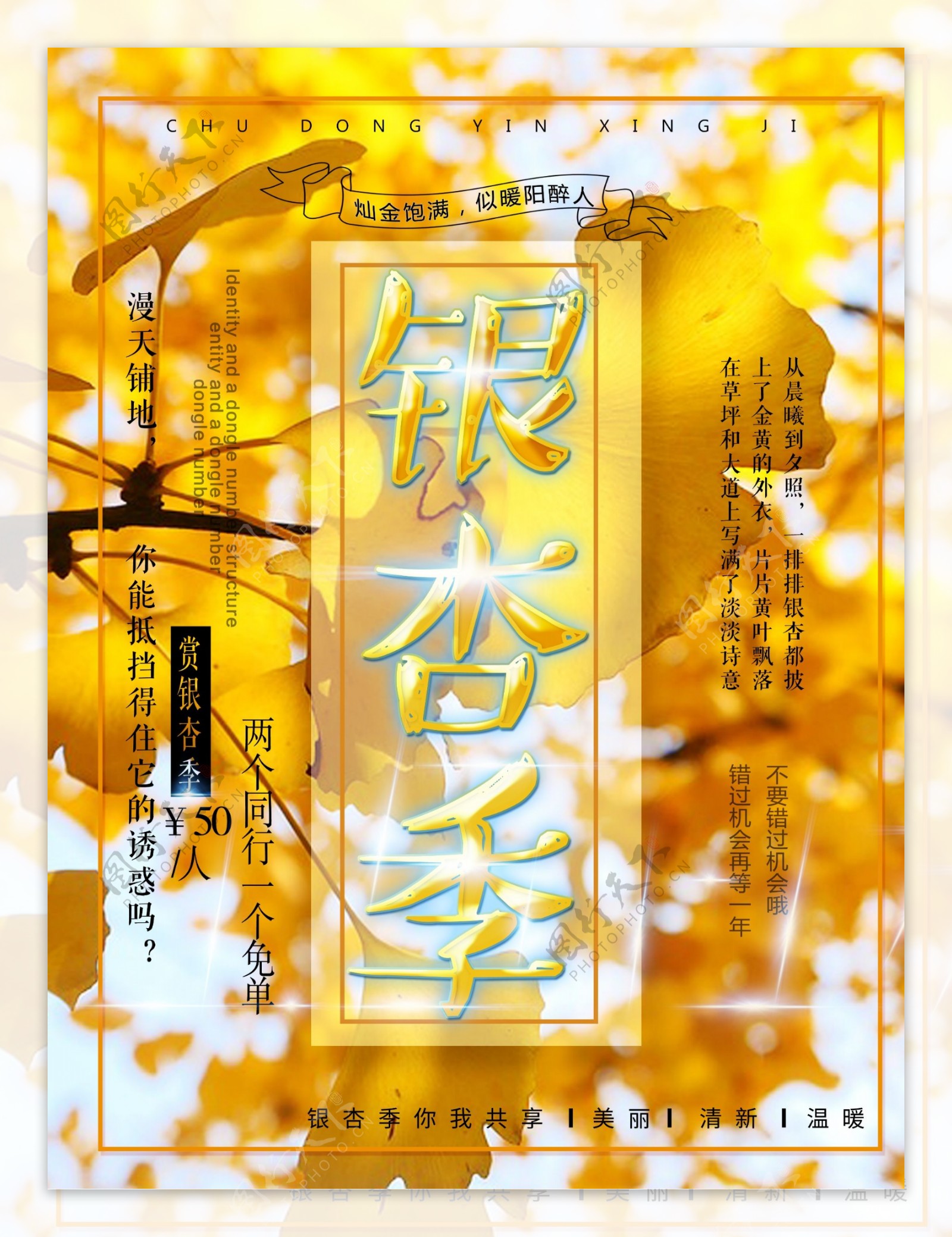 银杏季宣传促销海报