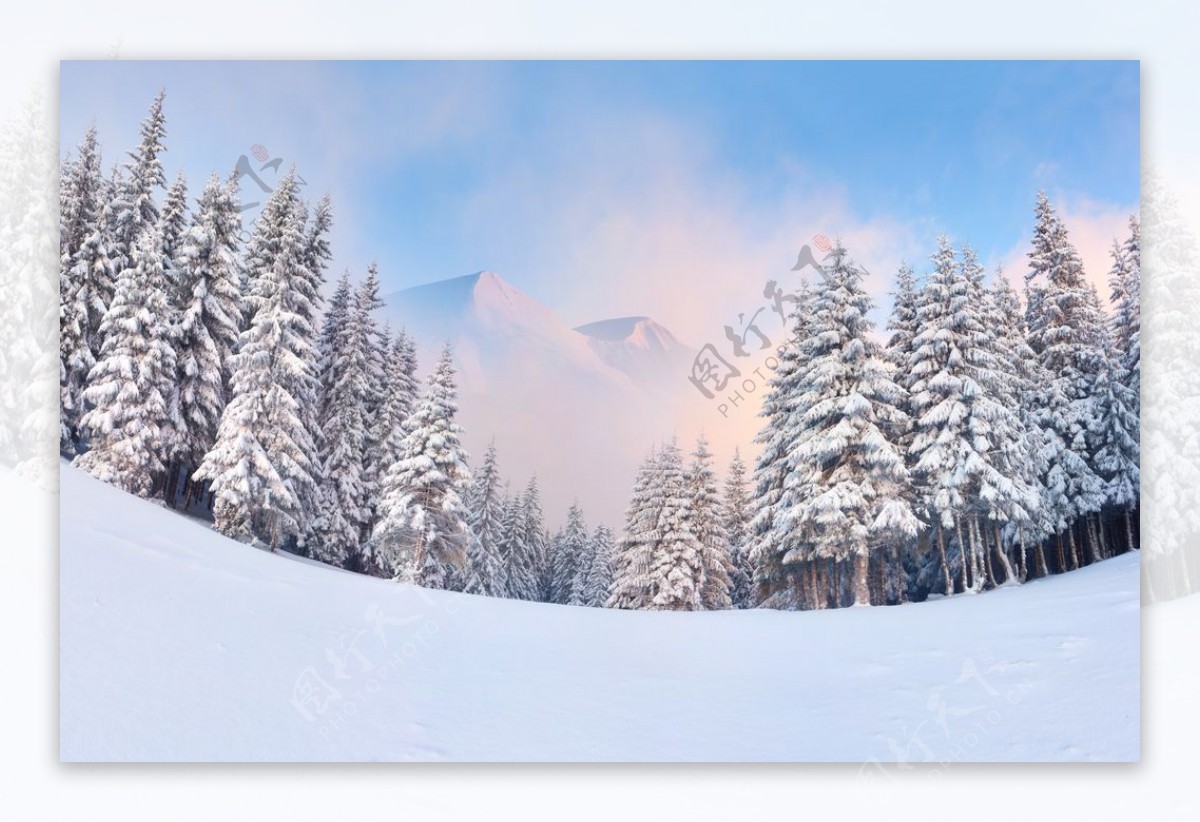 冬天雪景