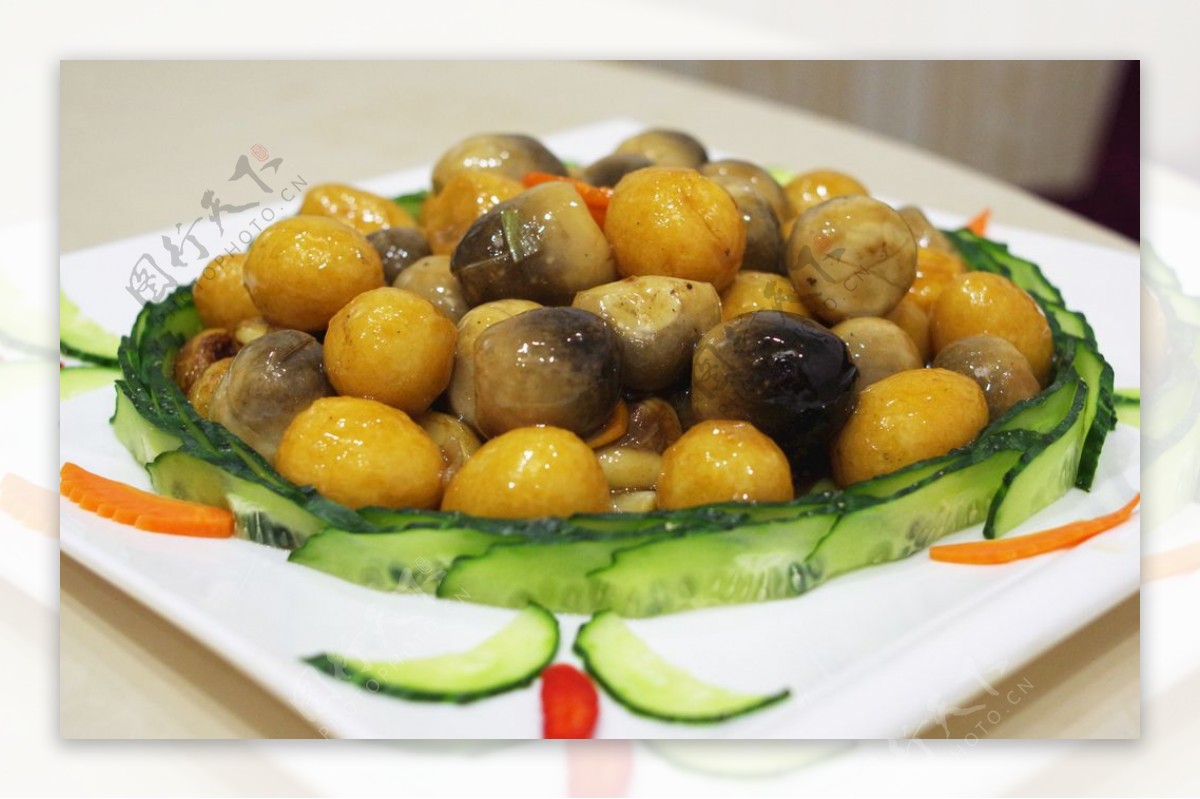 粤菜鲍汁杂菇煲的做法，鲜香爽口美味，营养美味的一道美食_哔哩哔哩_bilibili