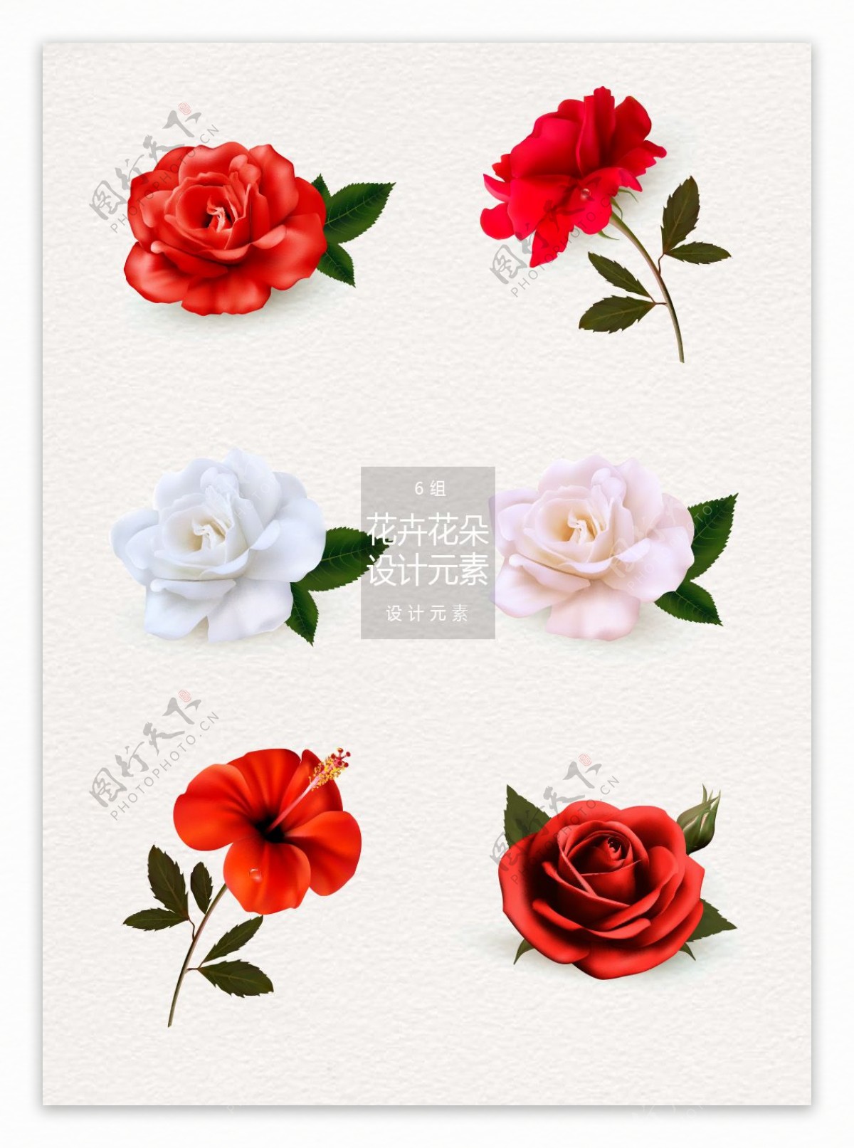 6款花卉花朵设计元素