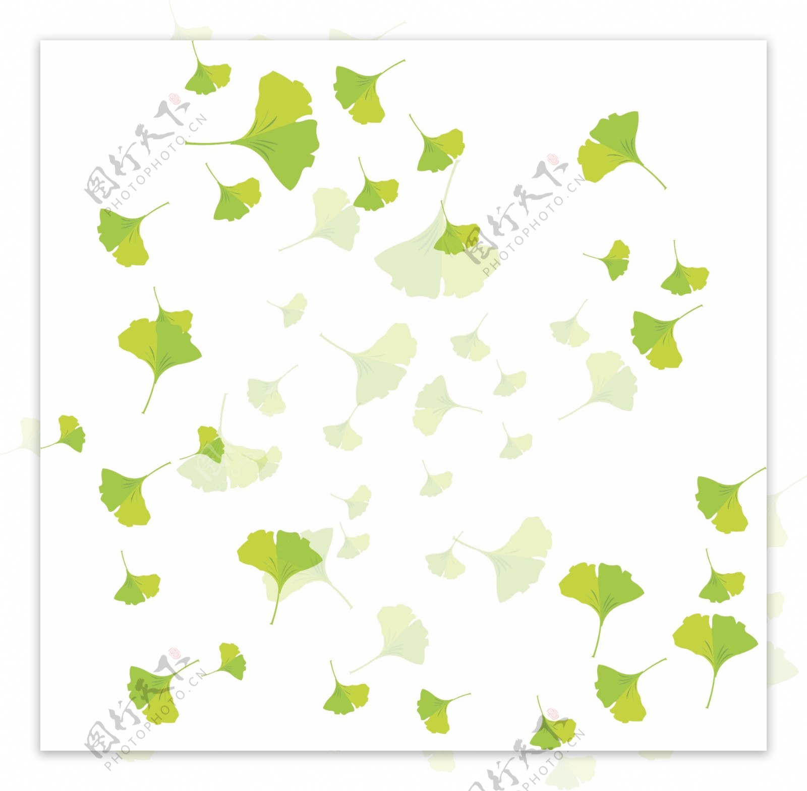 手绘植物树叶漂浮的叶子