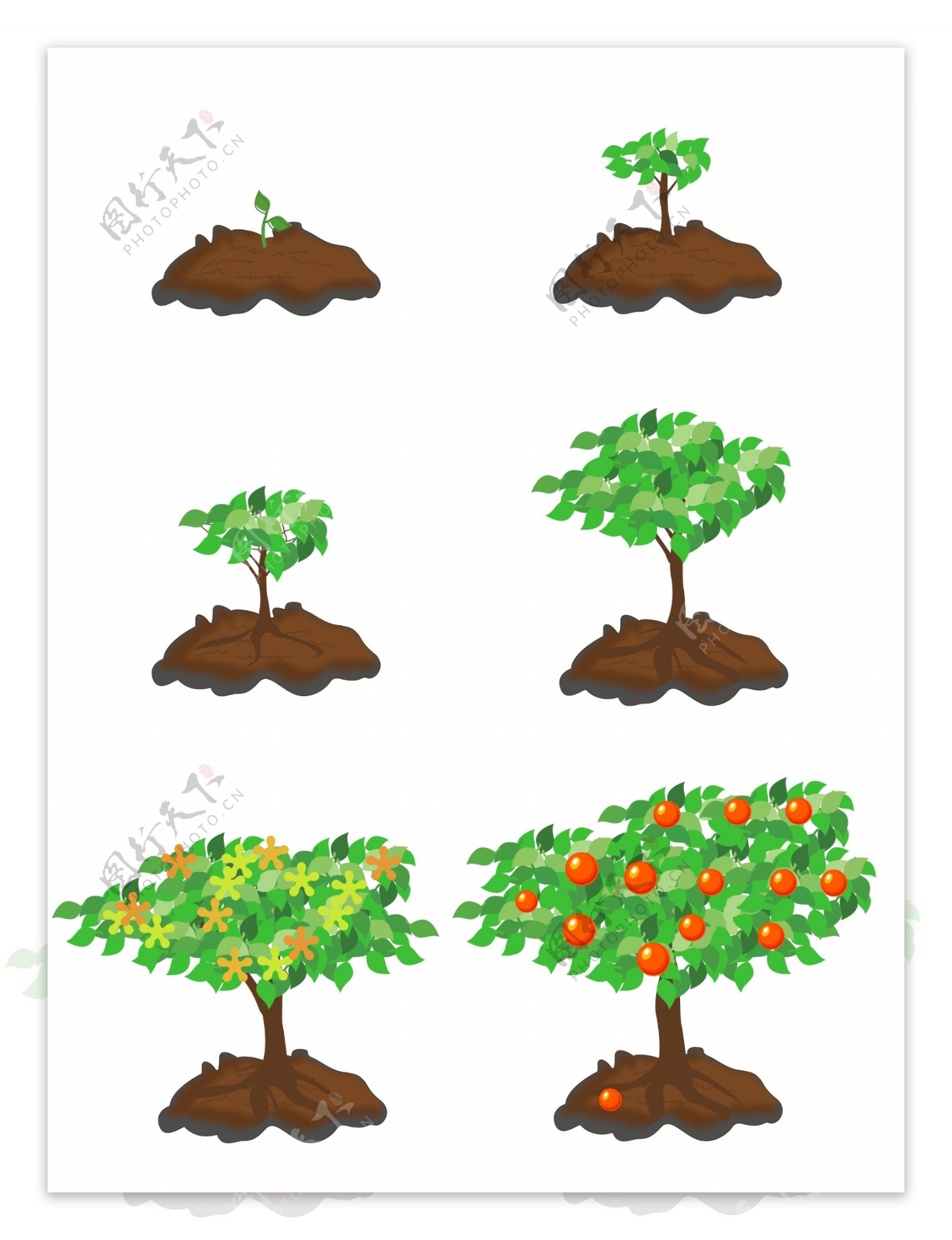 原创植物生长元素可商用