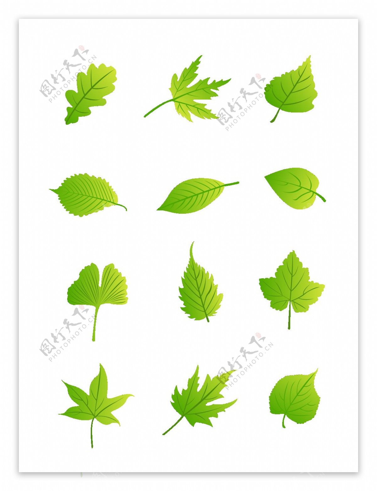 绿叶元素之卡通简约树叶元素套图