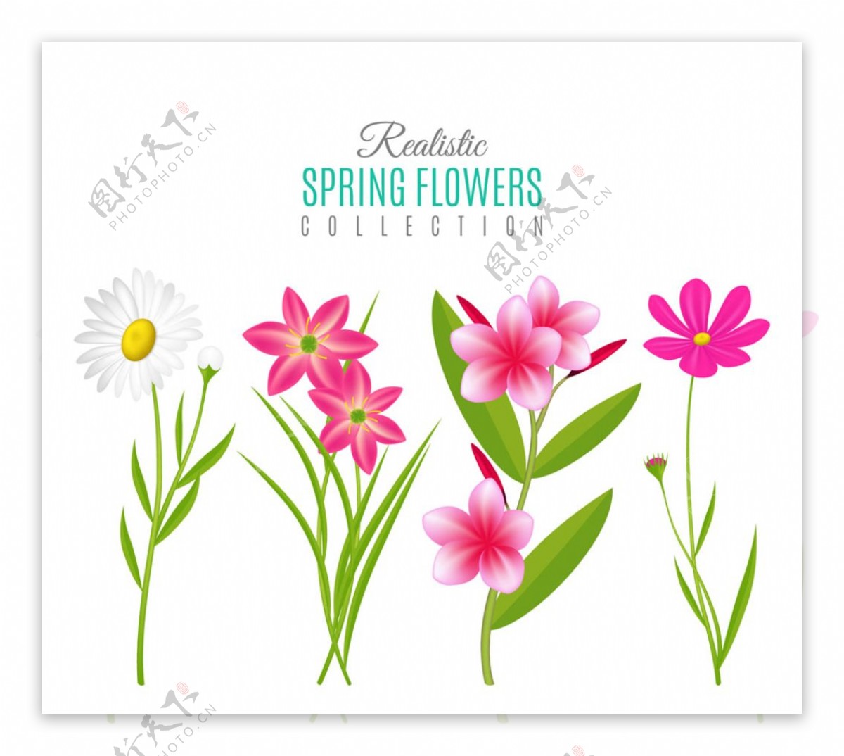 创意春季花卉