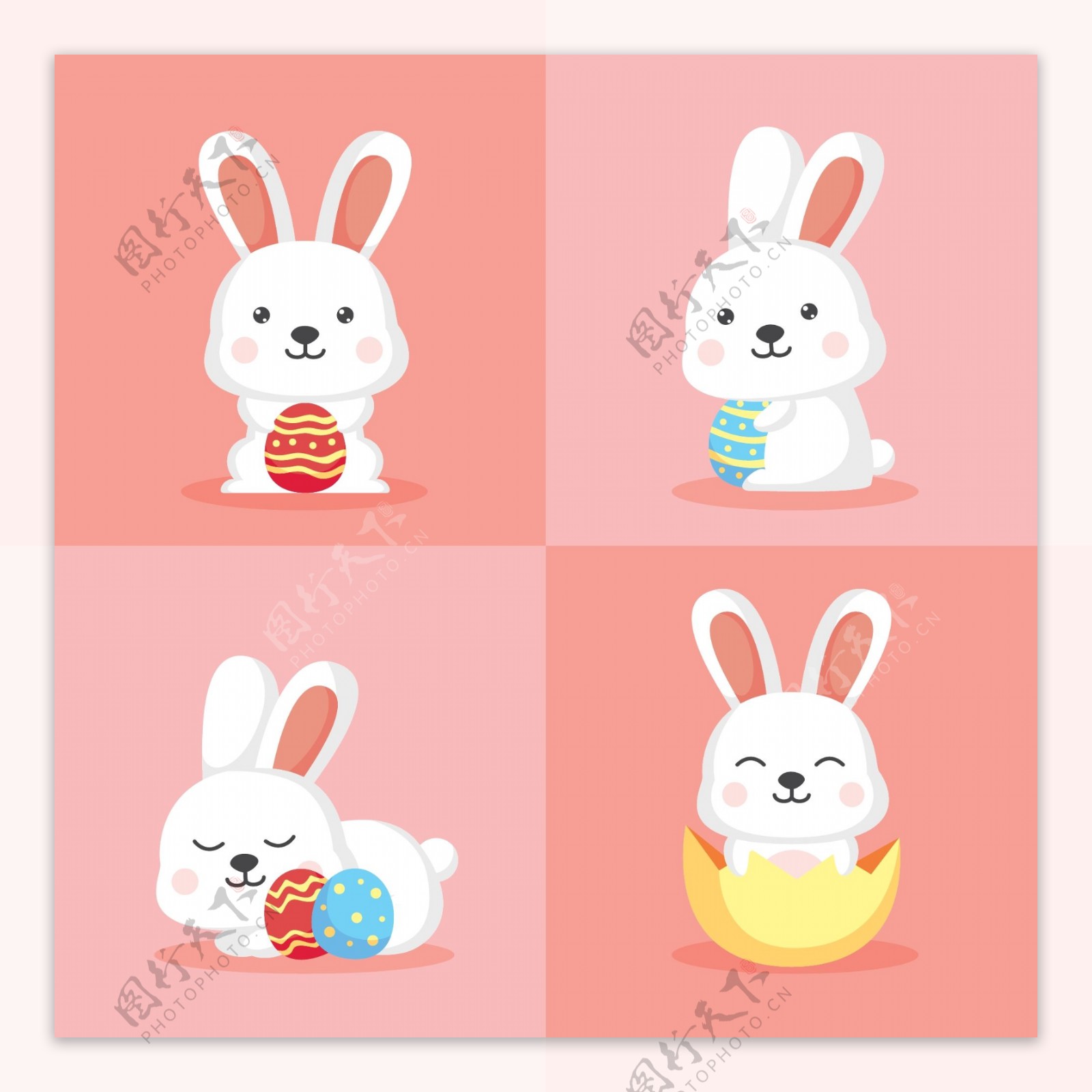 可爱白色抱彩蛋的兔子