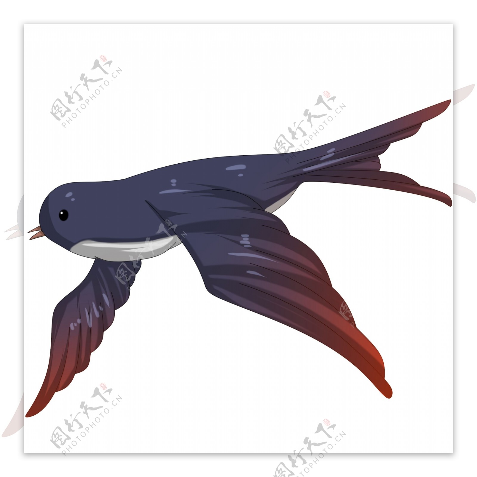 手绘飞翔的燕子插画可商用