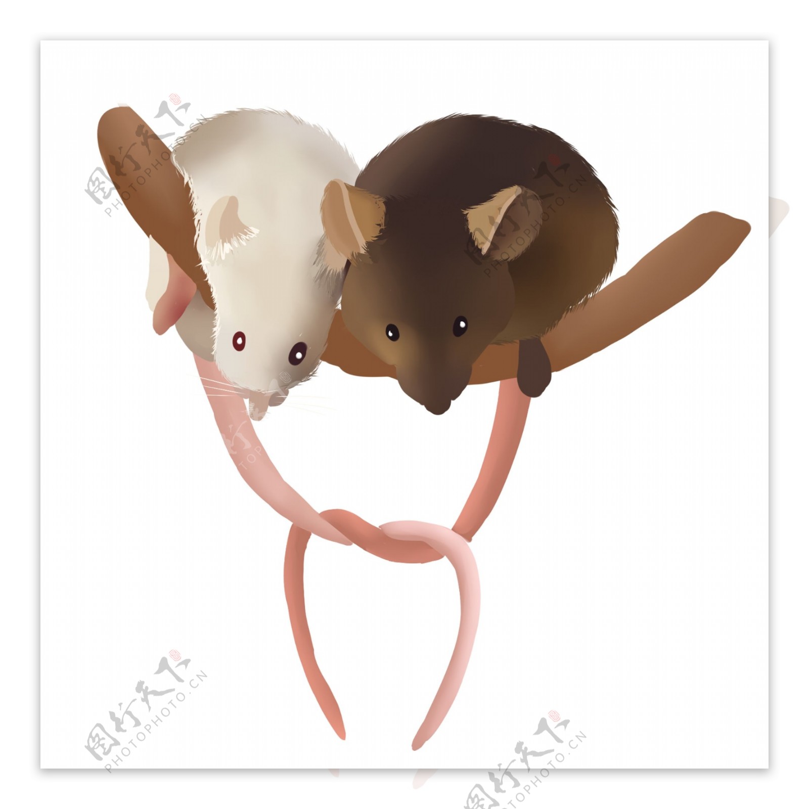手绘爱情老鼠插画