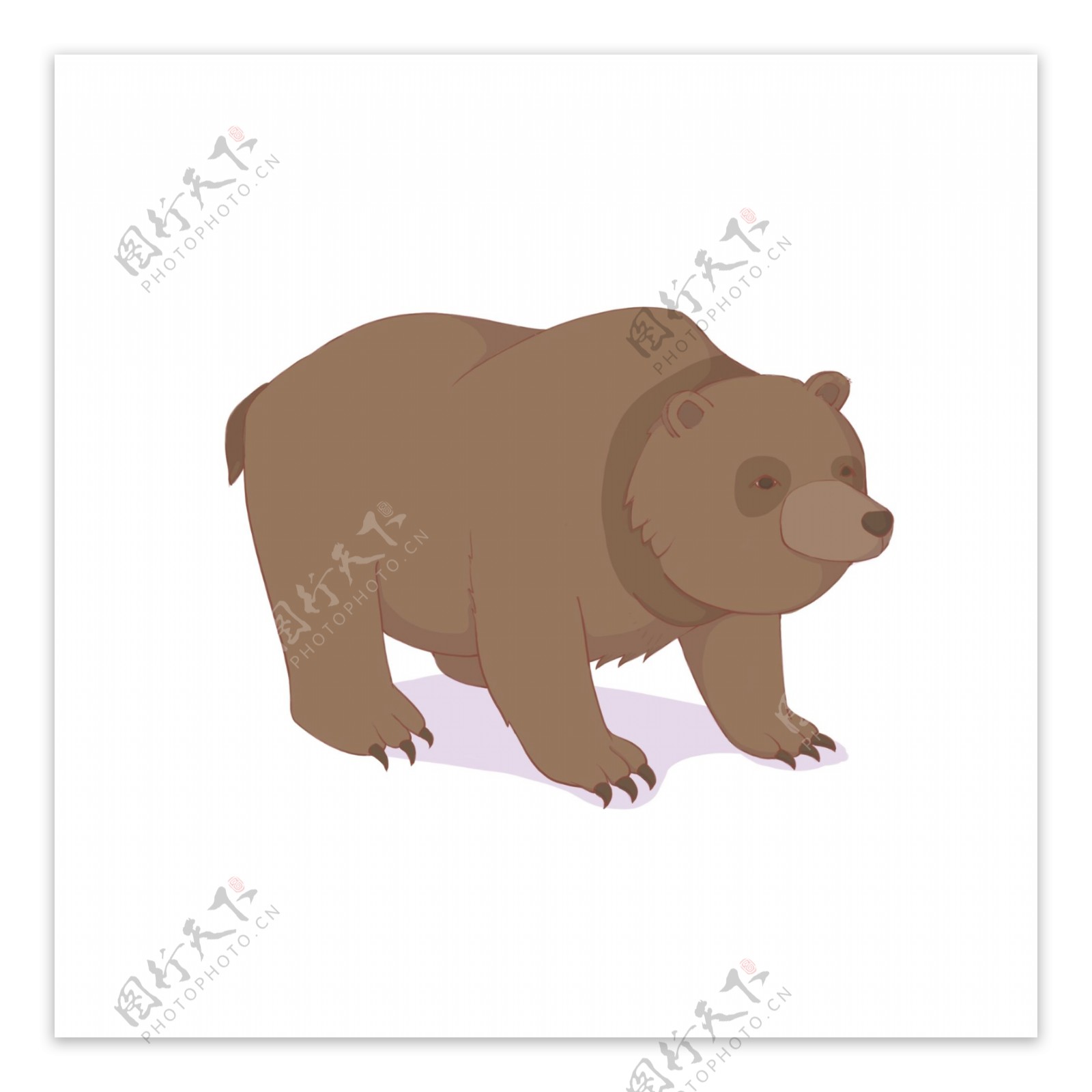 手绘卡通棕熊动物可商用