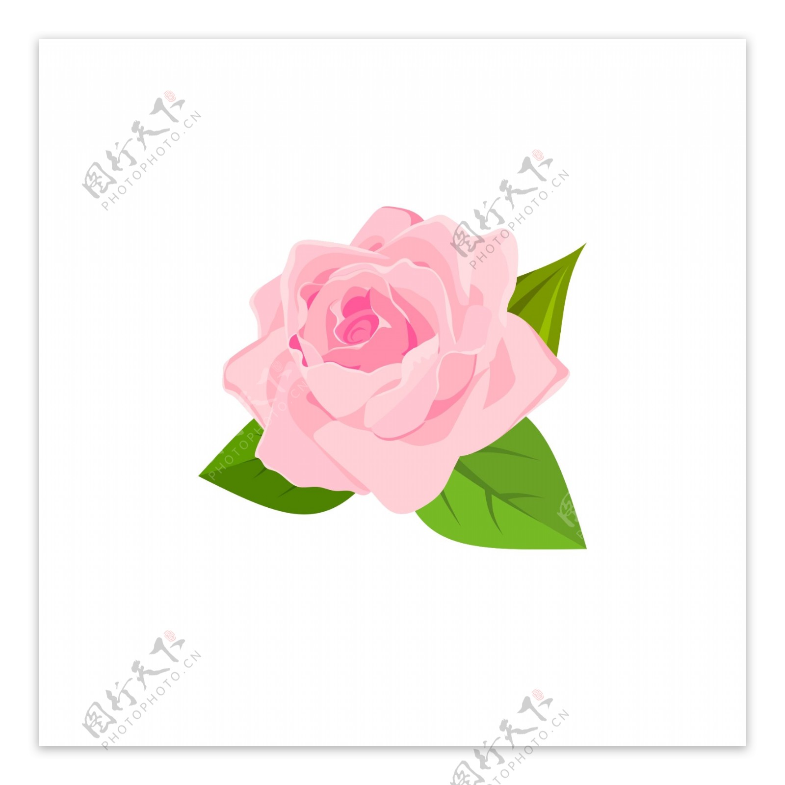 玫瑰花花朵粉色装饰素材设计