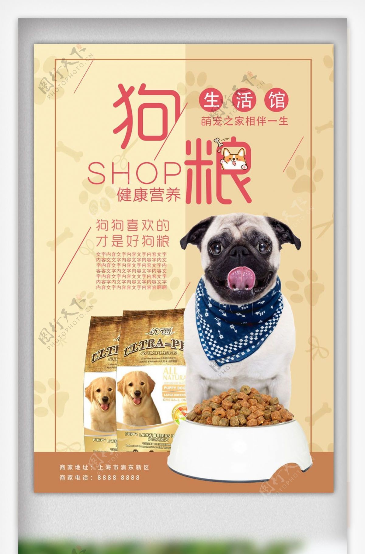 宠物用品开业狗粮促销海报宠物店广告