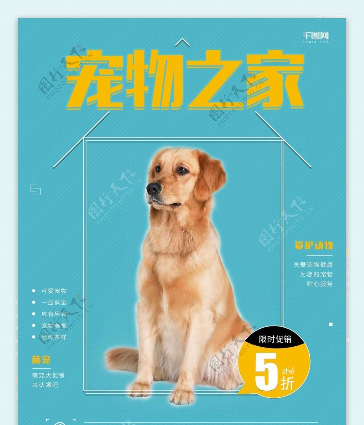 宠物海报宣传海报新店开业促销宠物之家