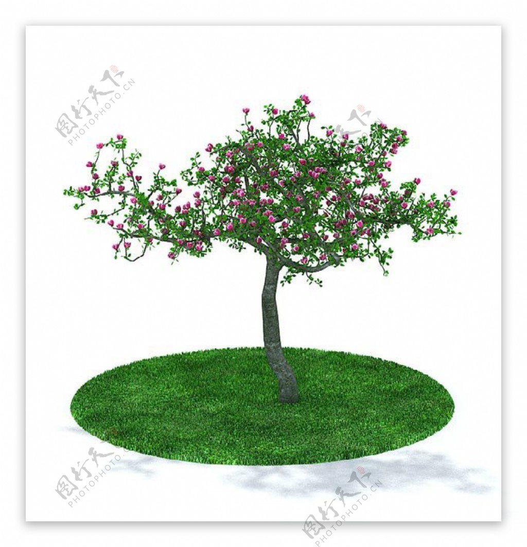 精美小花绿树3d模型
