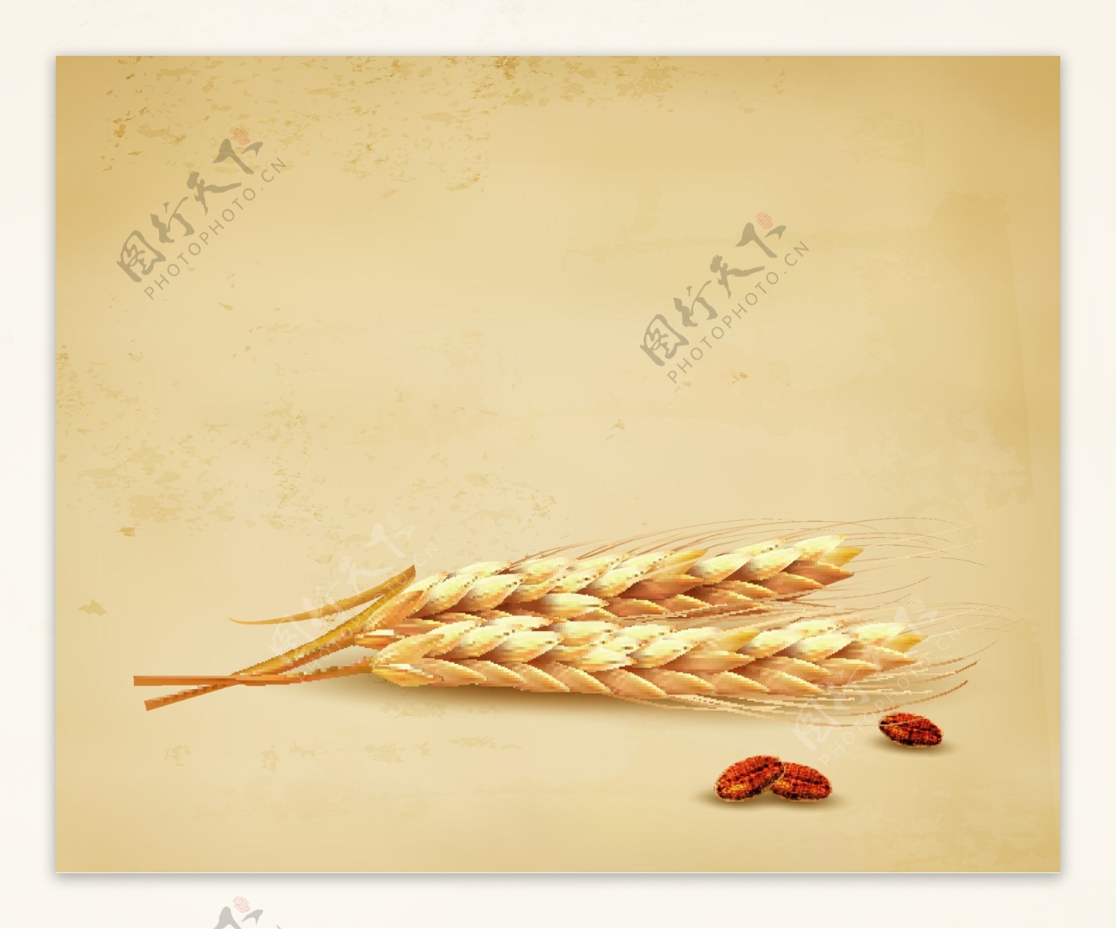立体创意小麦相关矢量素材