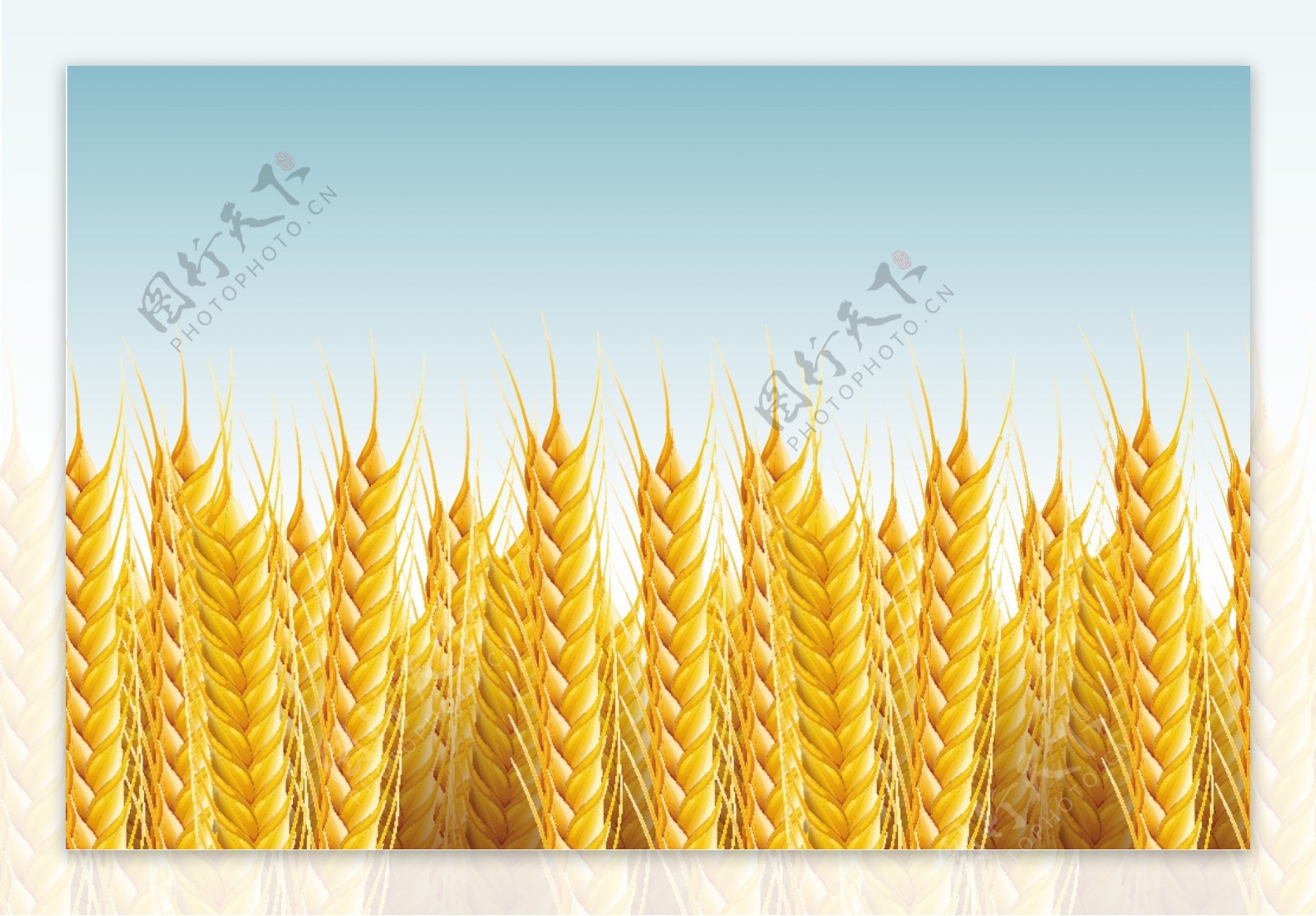 环保小麦相关矢量素材