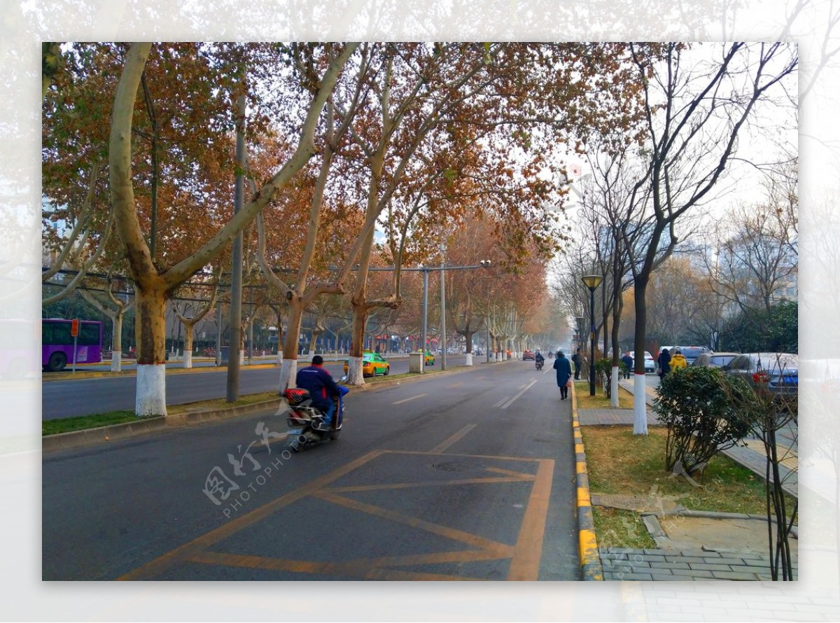 深秋时节的城市道路