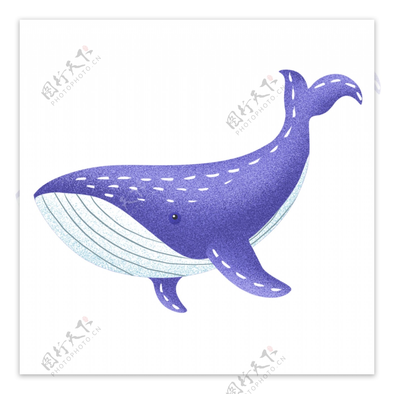 彩绘紫色海豚图案元素设计