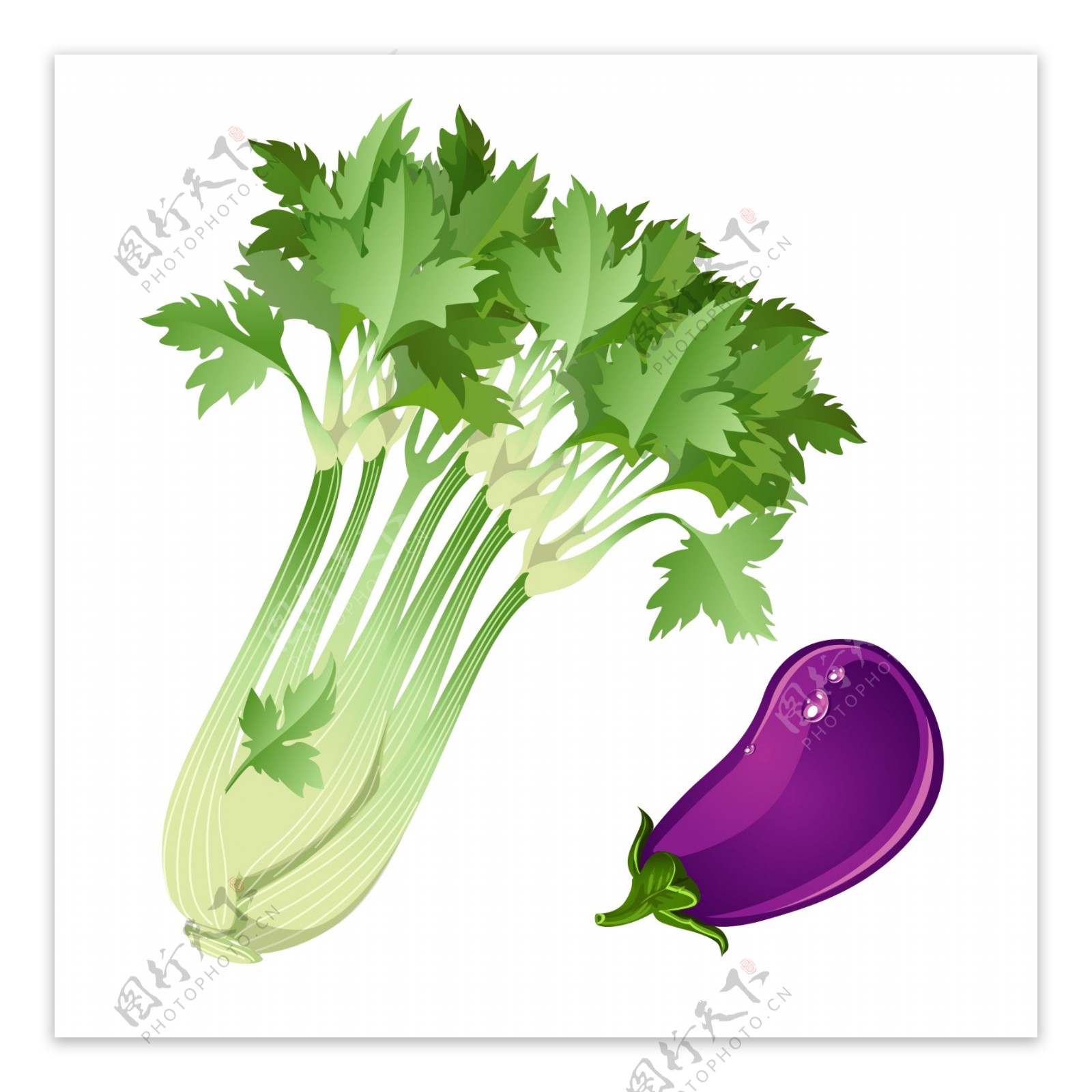 卡通手绘新鲜的绿色蔬菜素材