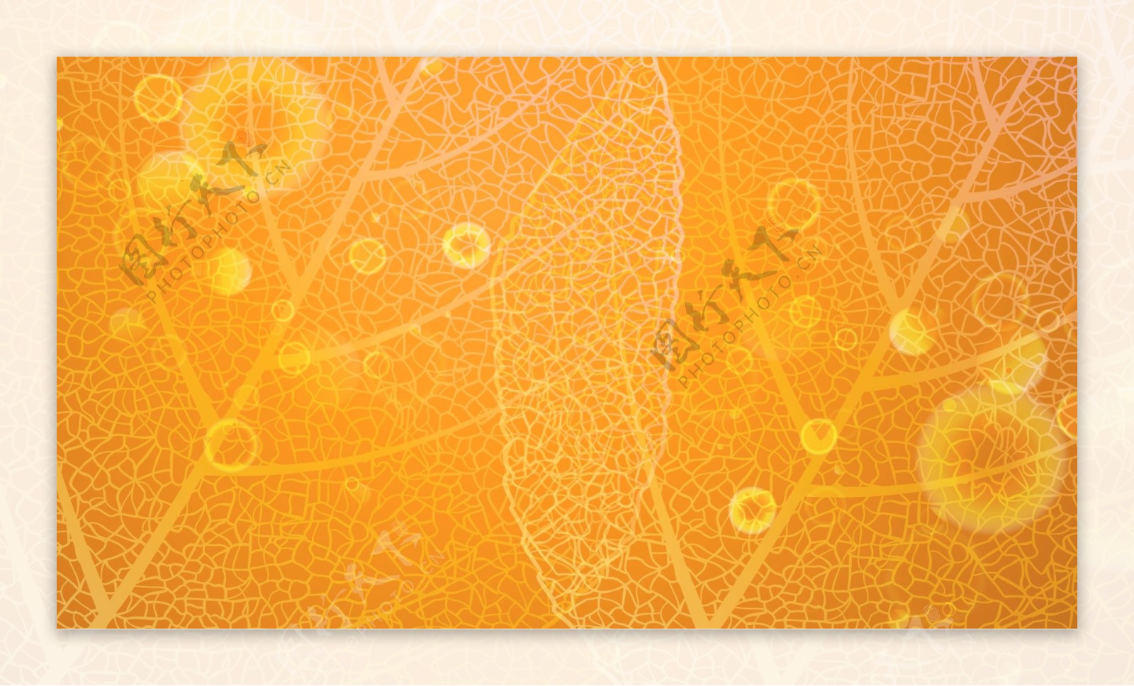 橙黄金秋十月感恩回馈C4D背景