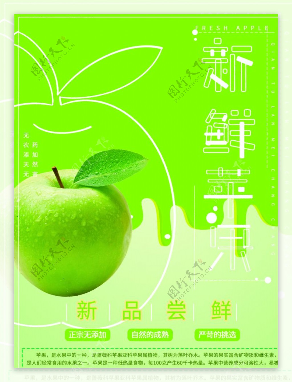清新简约大气绿色健康水果苹果