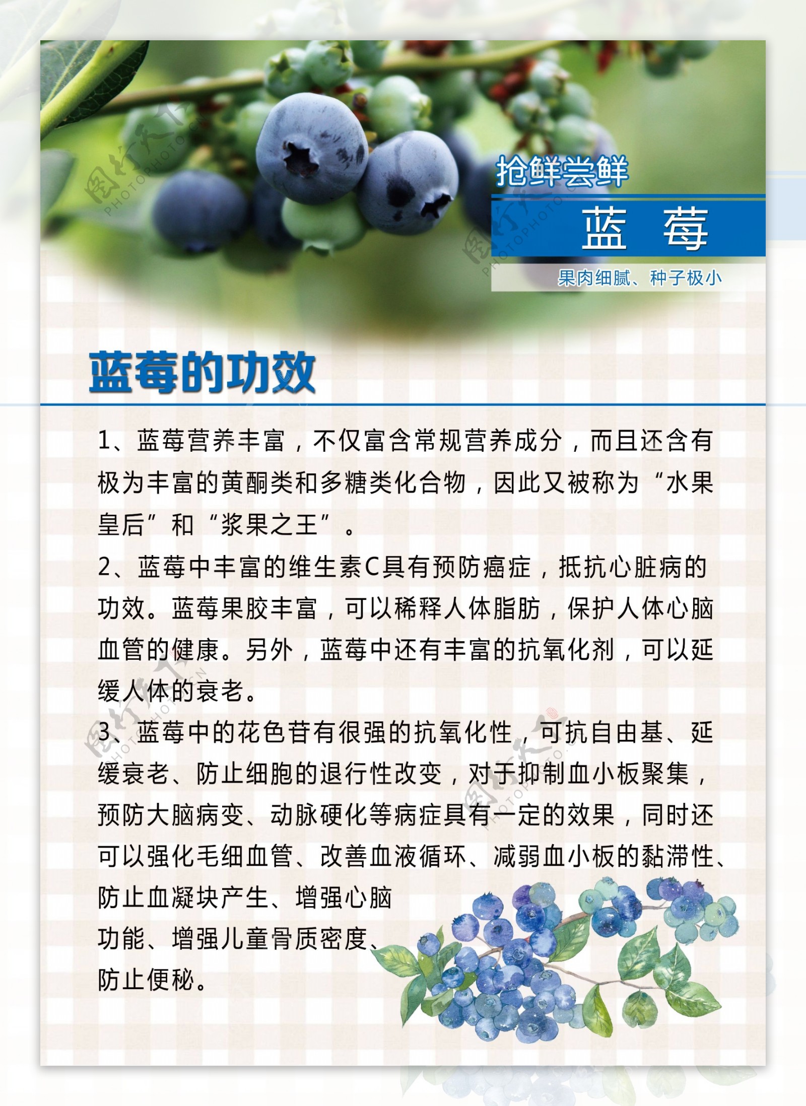 蓝莓功效海报