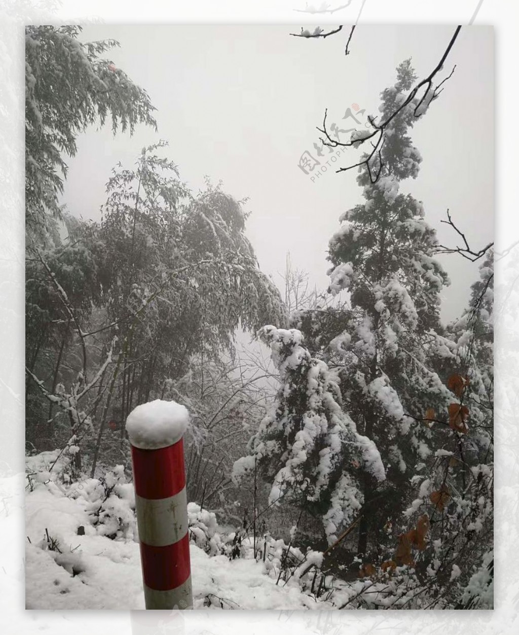 雪景