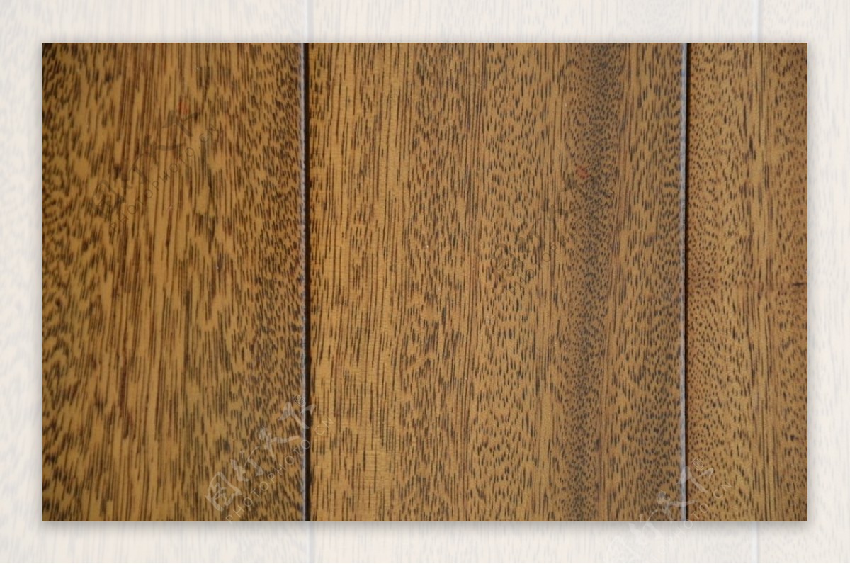 室内木地板客厅木地板