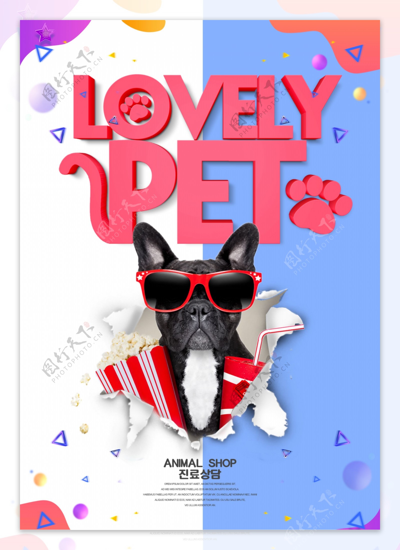 现代时尚可爱宠物狗的宣传海报