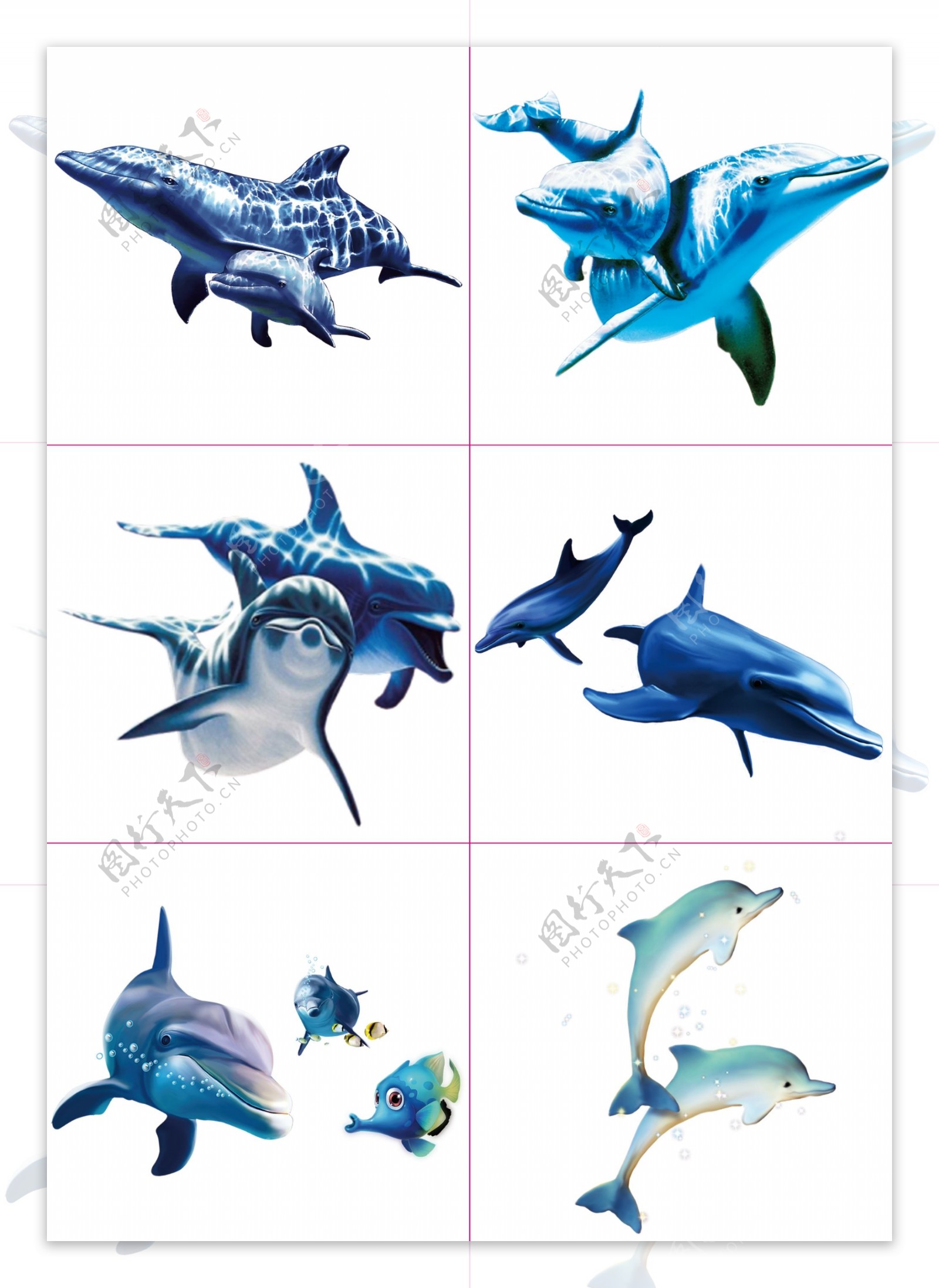 086蓝色海豚