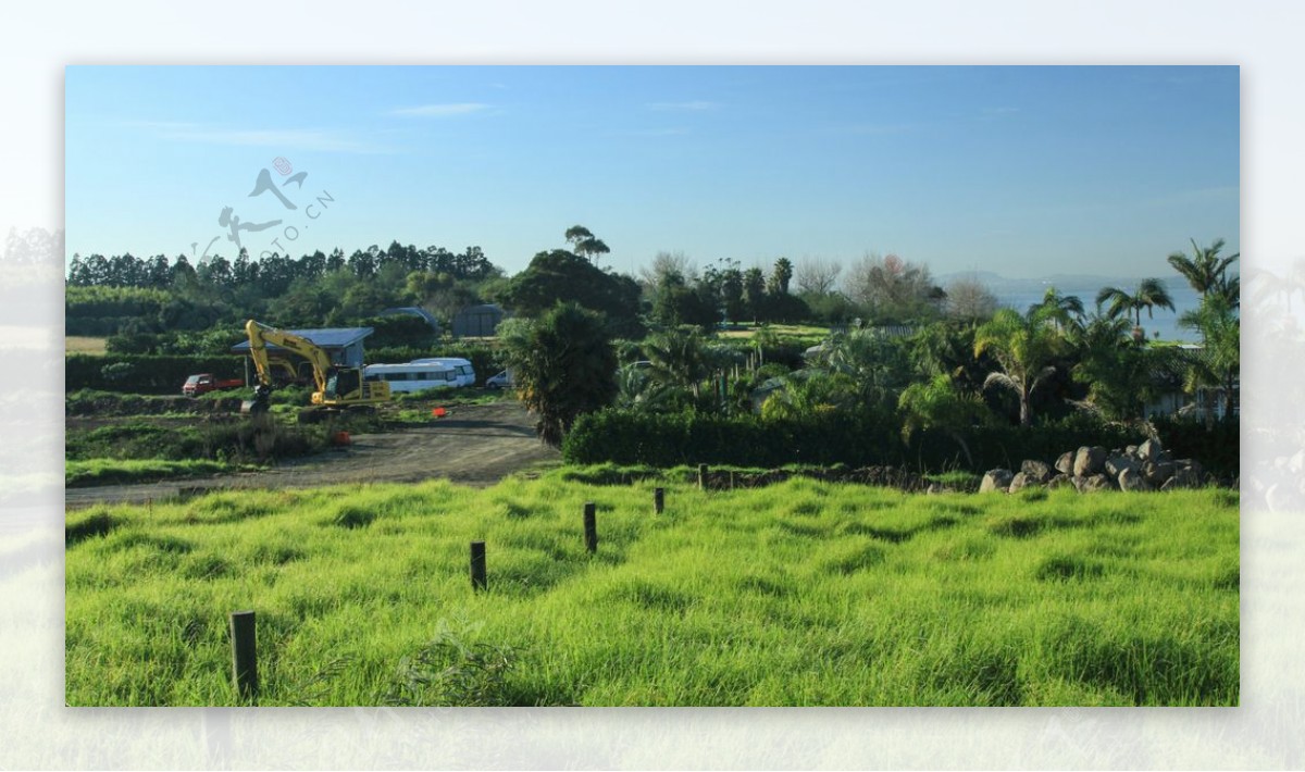 奥克兰海滨农场风景