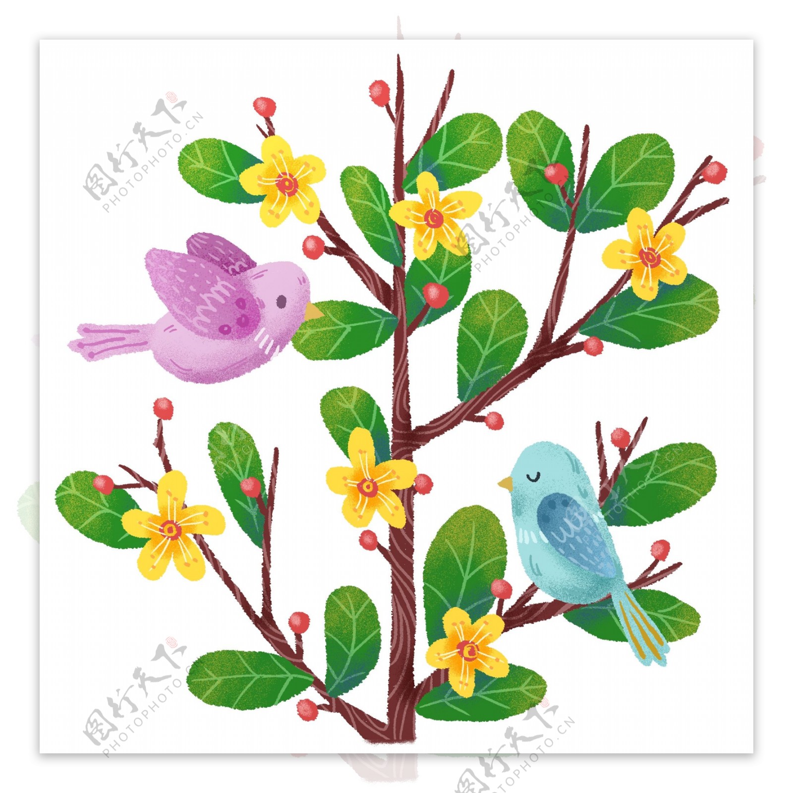手绘小清新自然树枝花卉和鸟儿
