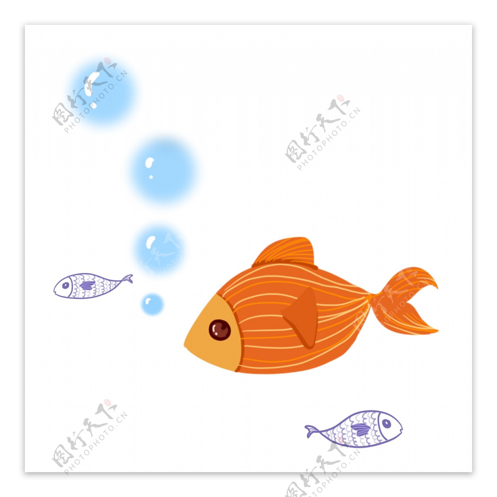 手绘鱼水彩线条海洋鱼设计元素