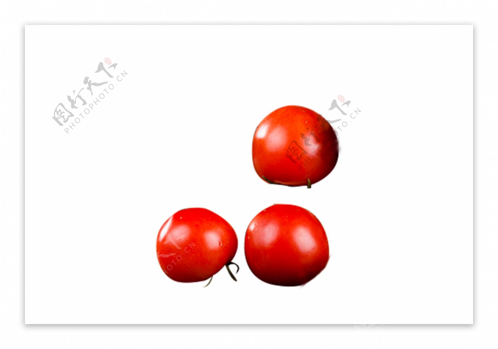 西红柿食材矢量图