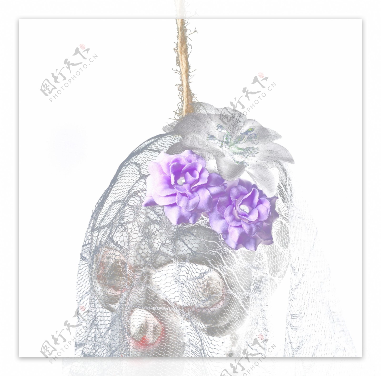 鬼节万圣节戴着头纱的骷髅戴着紫色头花的骷髅