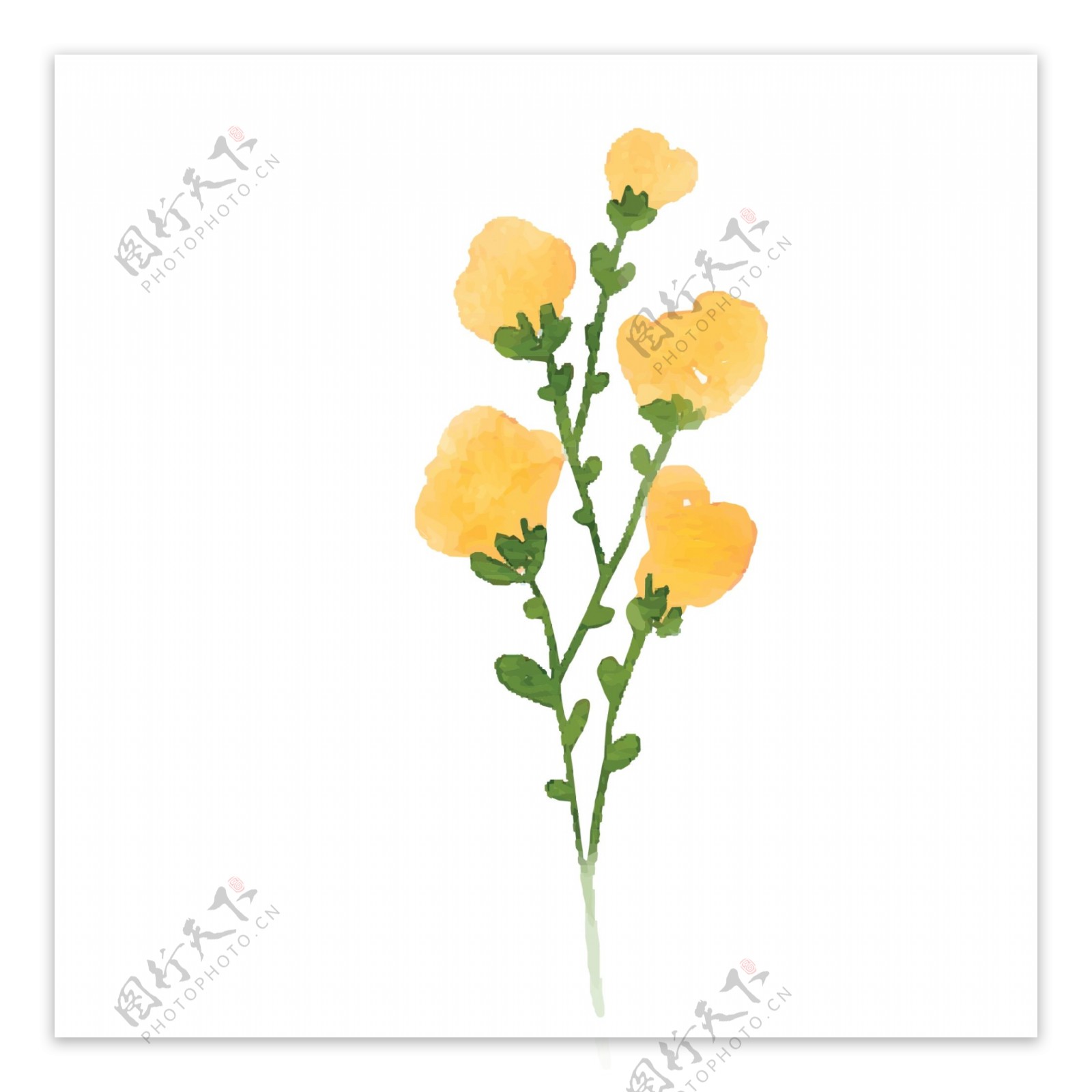 一枝黄色的手绘花朵