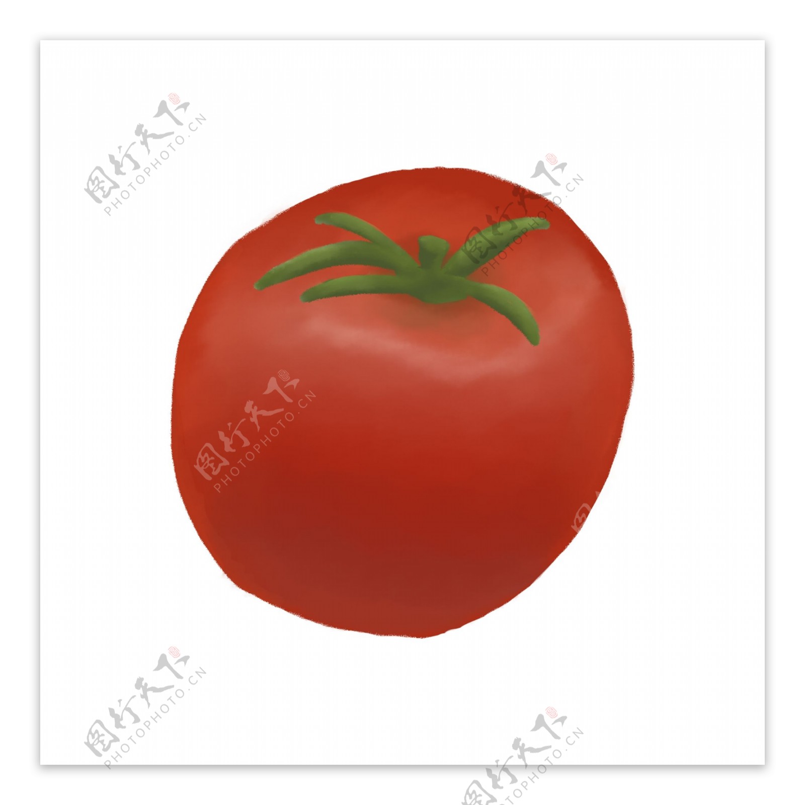 厚涂仿真食材红番茄