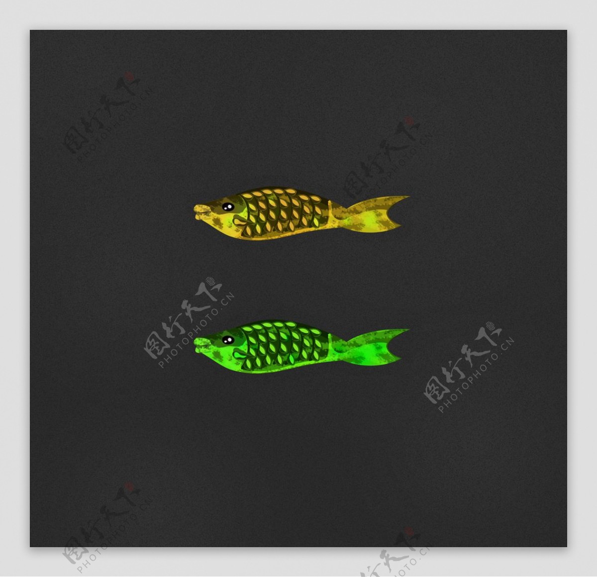 黄鱼与绿鱼写实版