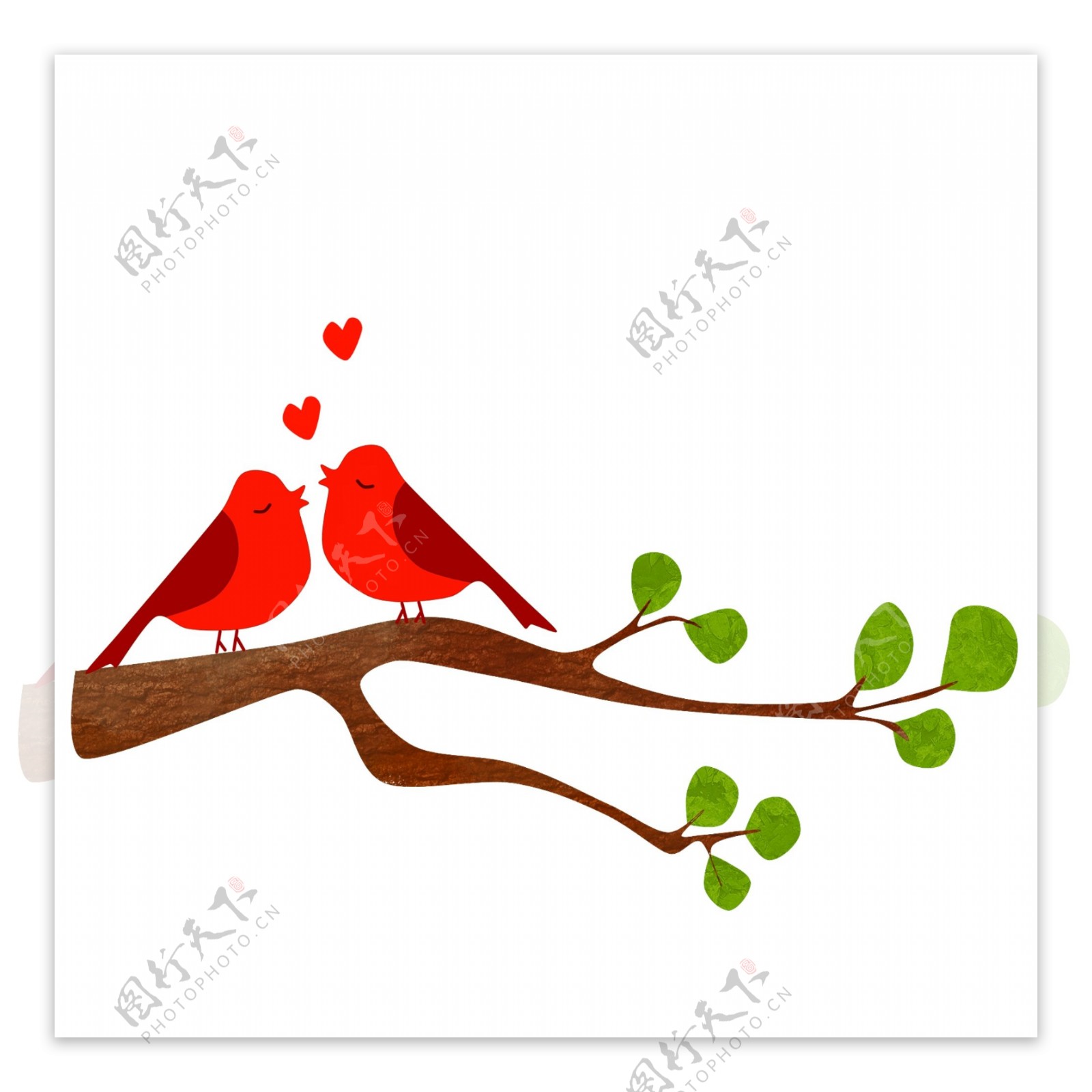 站在树枝上的爱情鸟