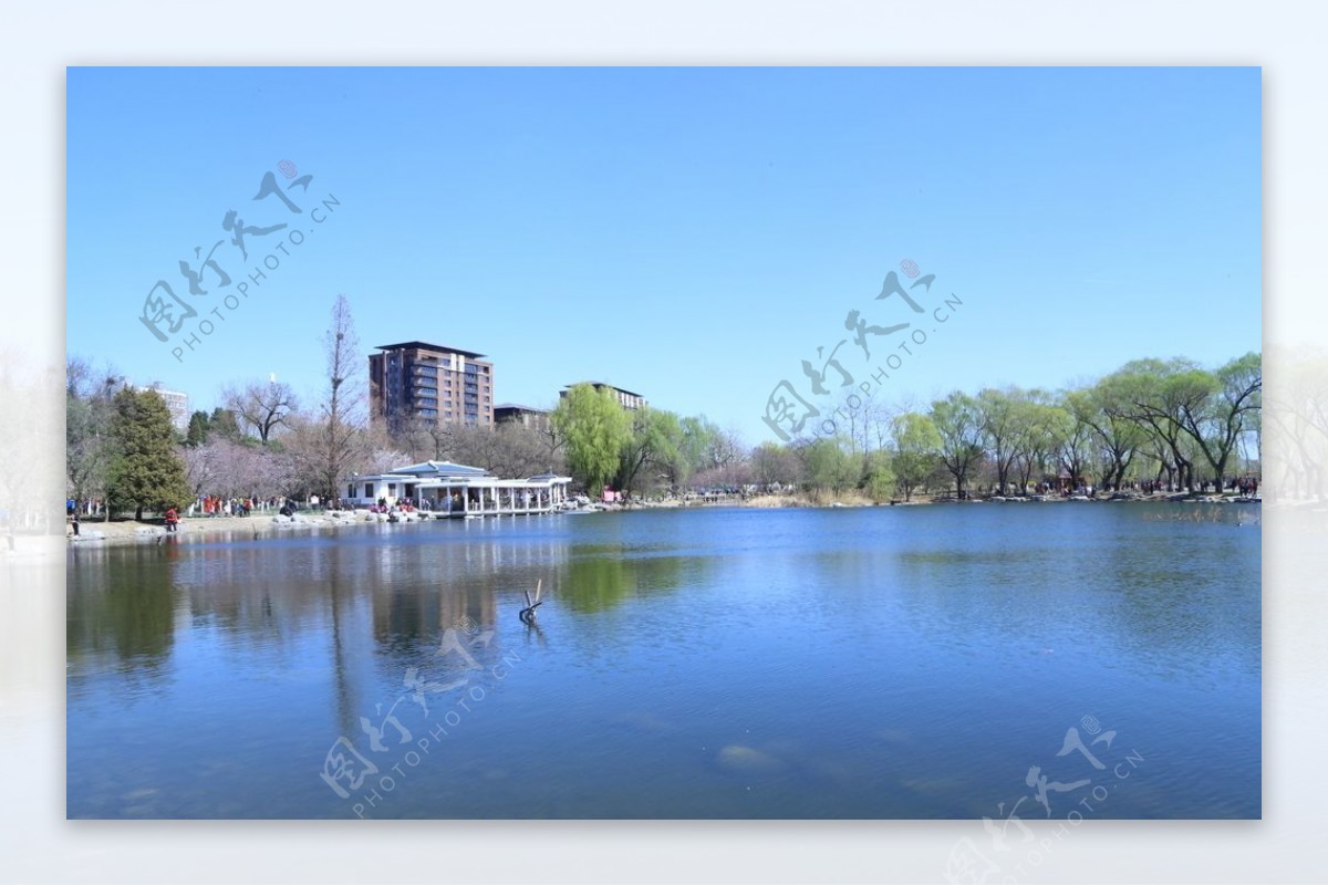 玉渊潭风景