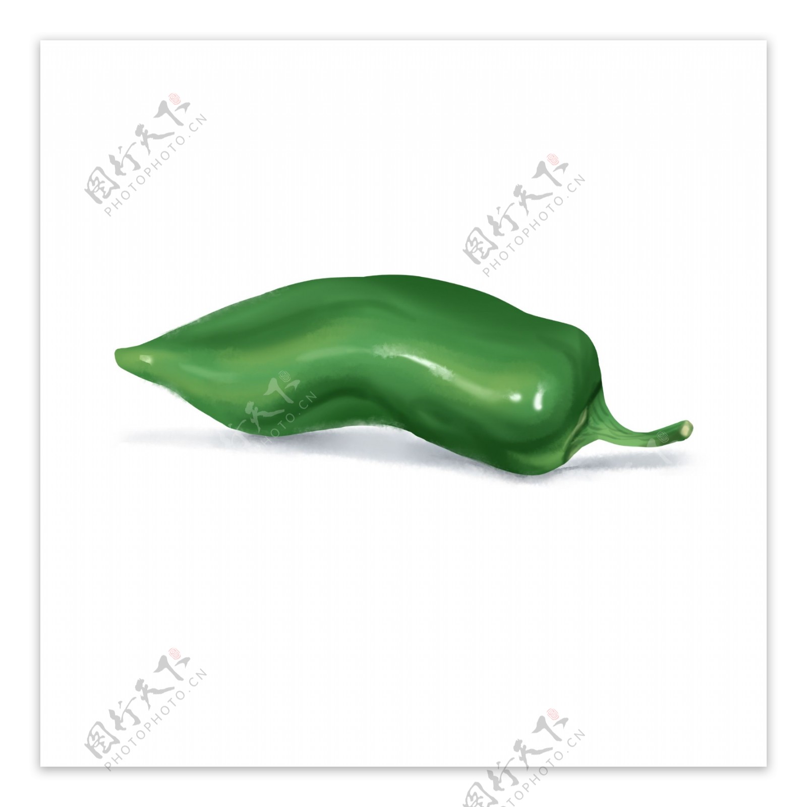 一颗绿色的写实辣椒