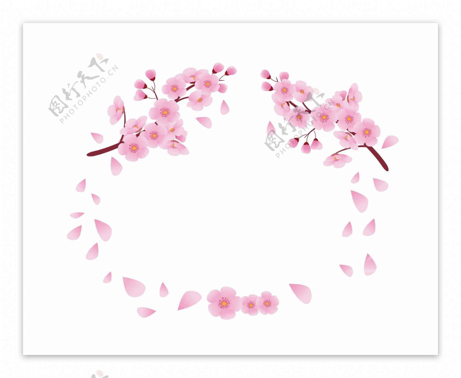 圆形樱花设计插图