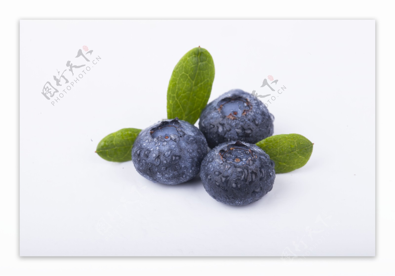 实物图摄影图新鲜蓝莓3