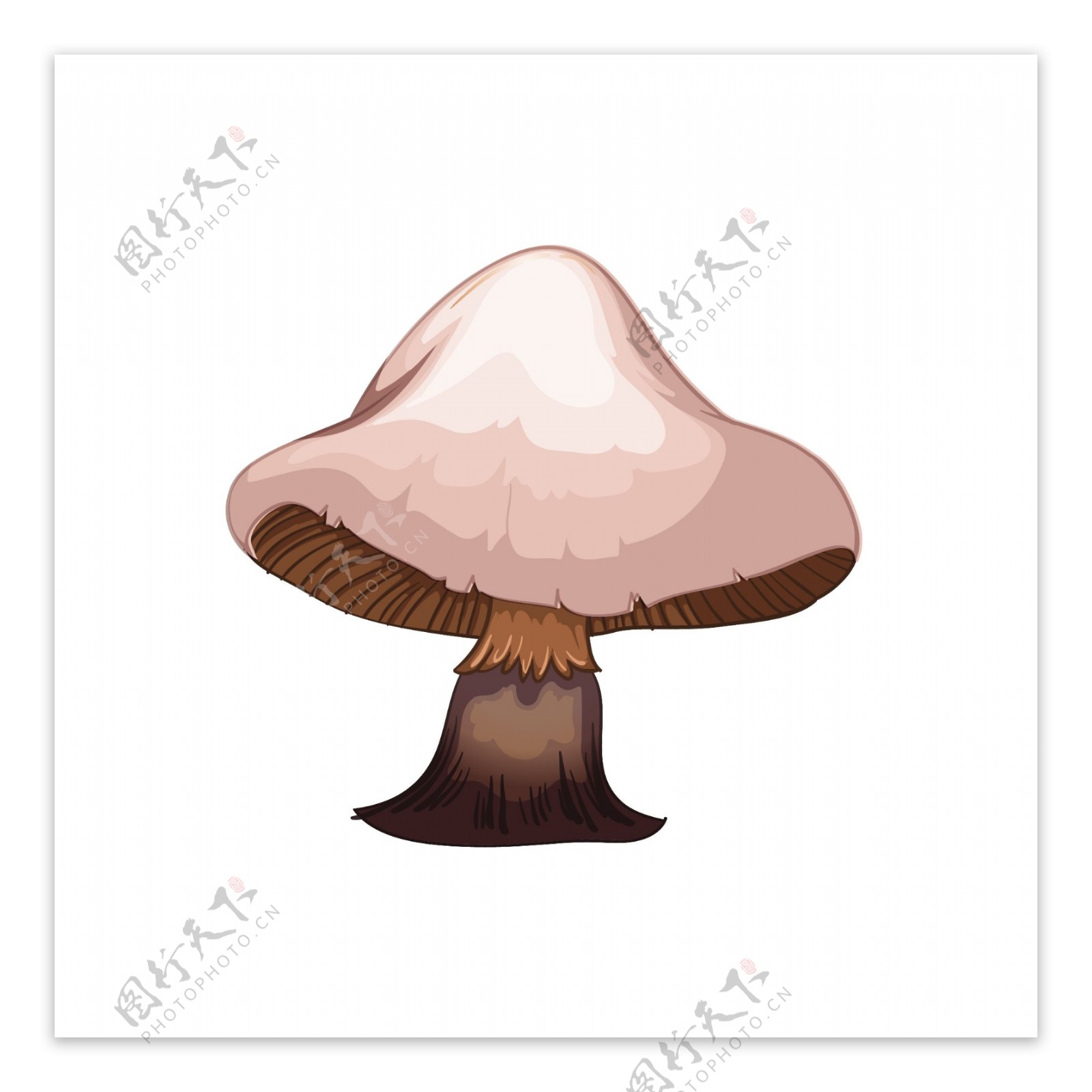 卡通可爱的蘑菇矢量素材