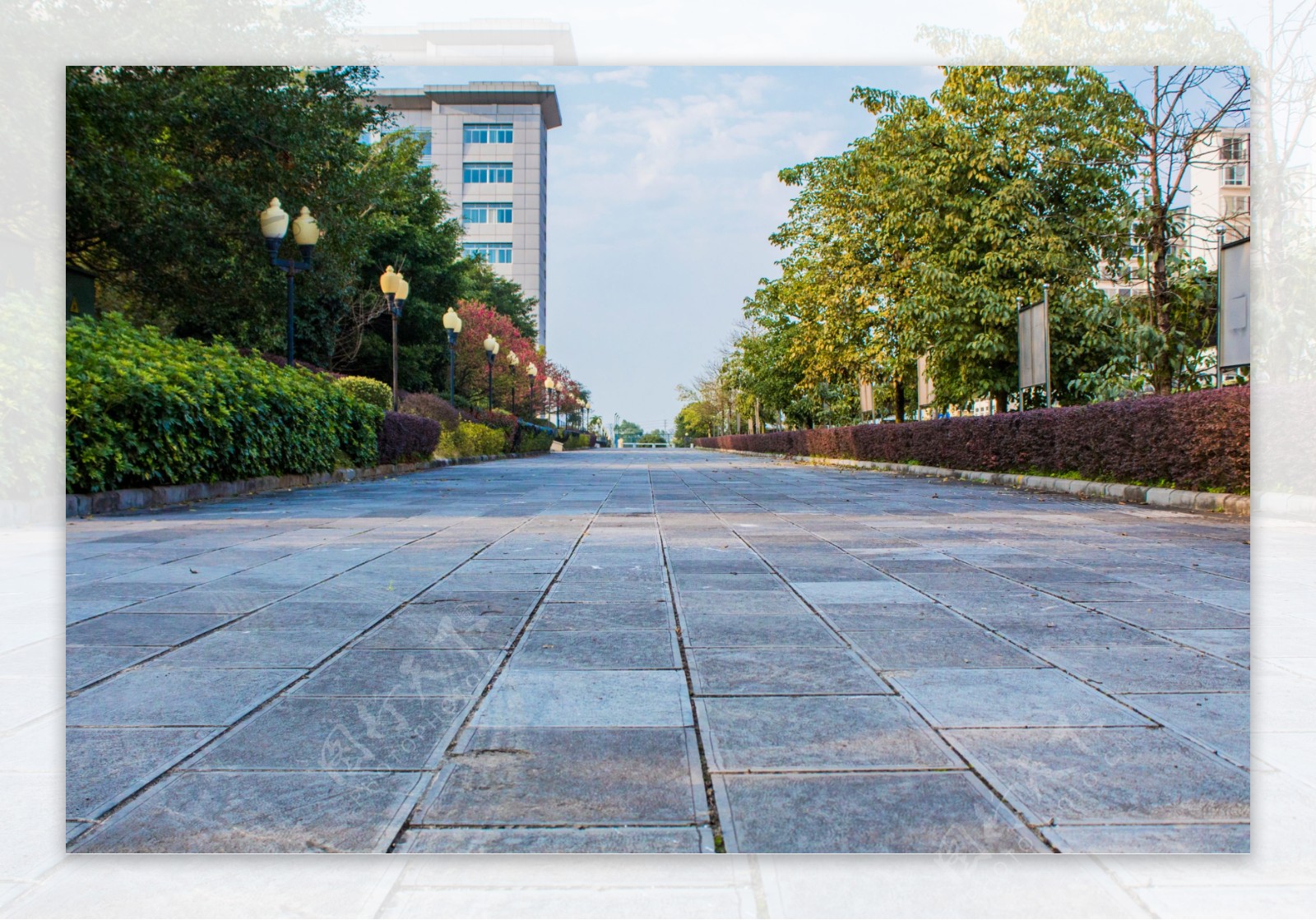 公园的石板道路风景