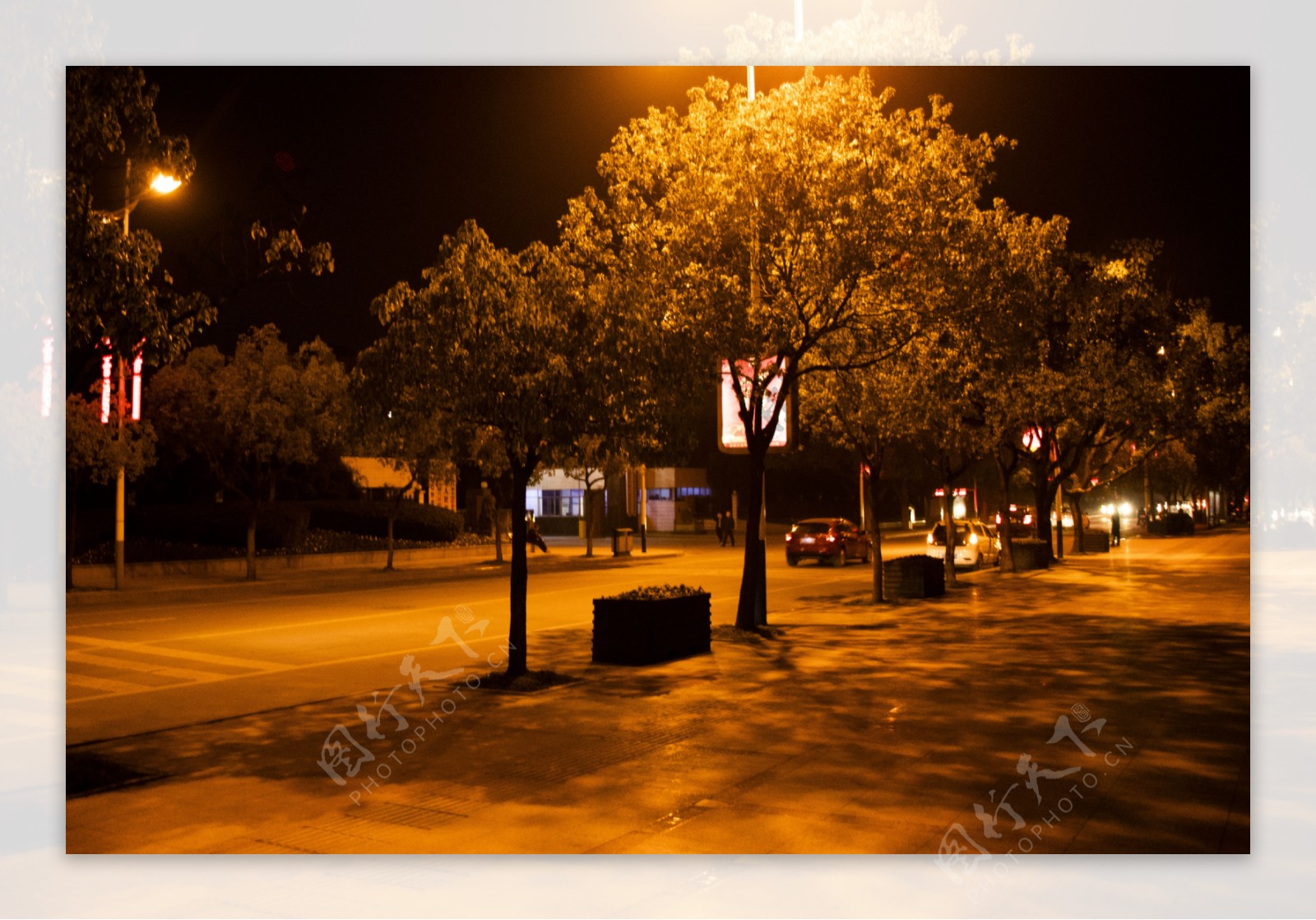 城市夜景树影摄影图