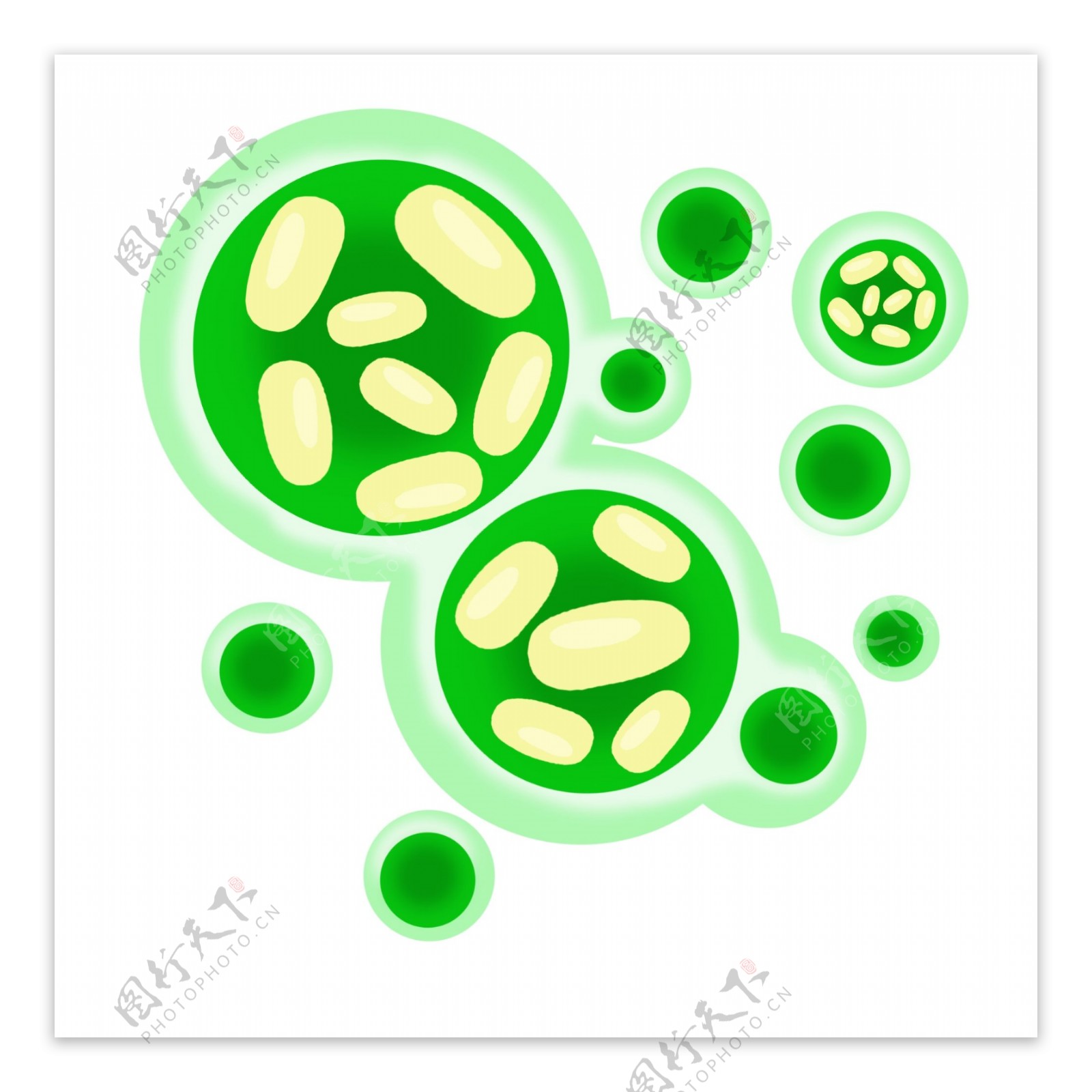绿色的有害细菌插画