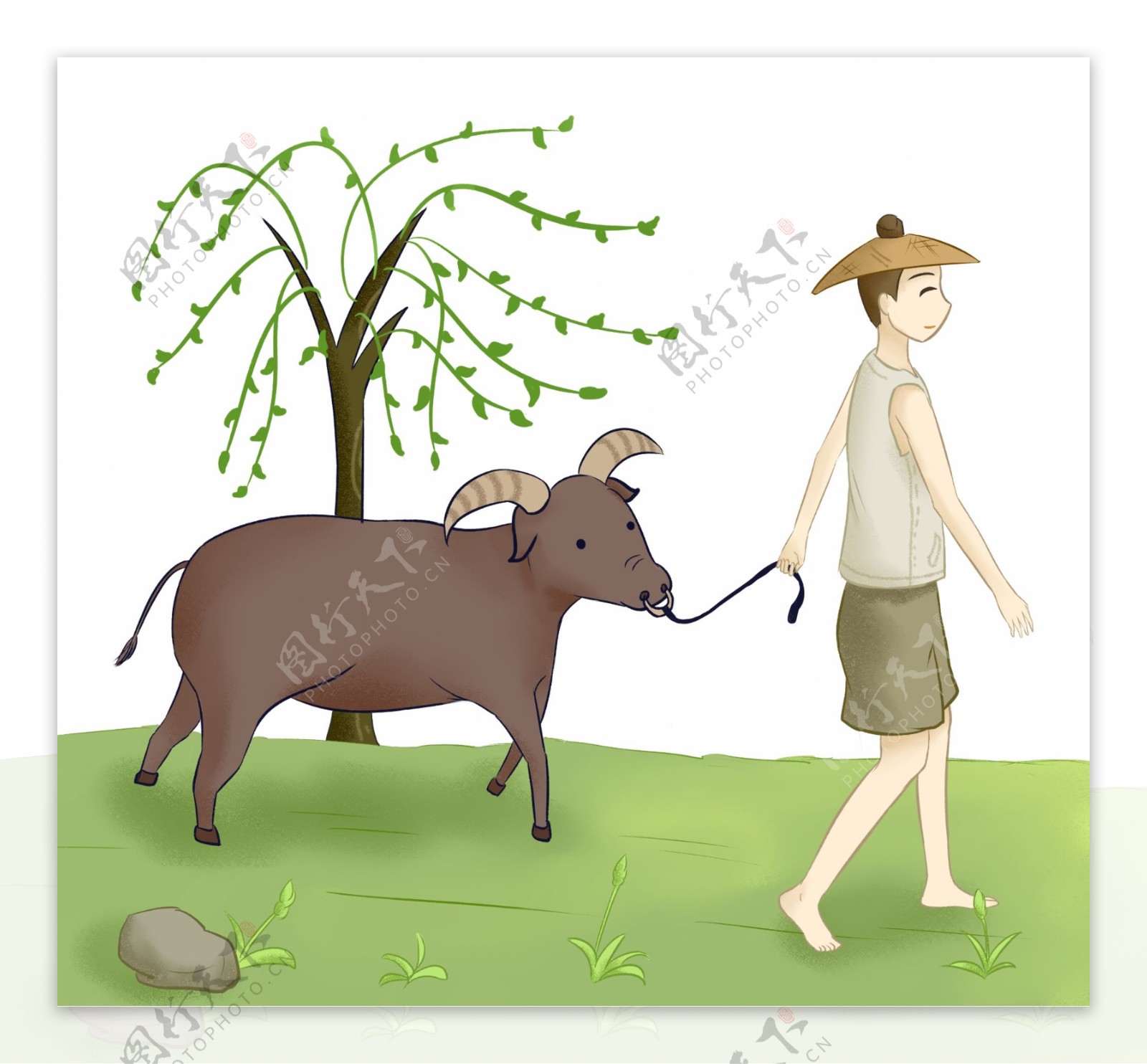 清明节放牛的插画