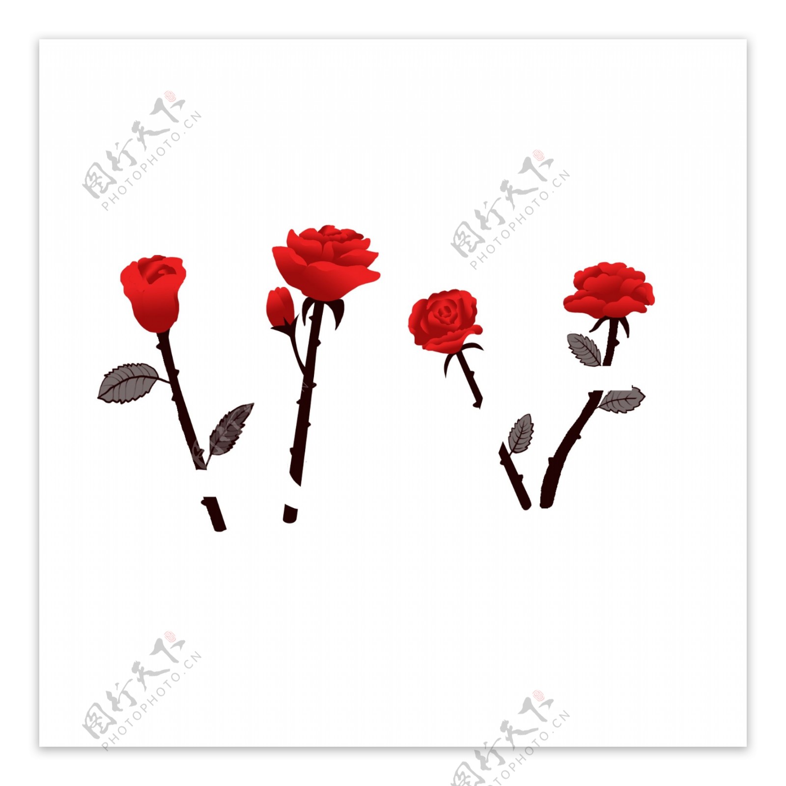 手绘玫瑰花与字商用装饰素材